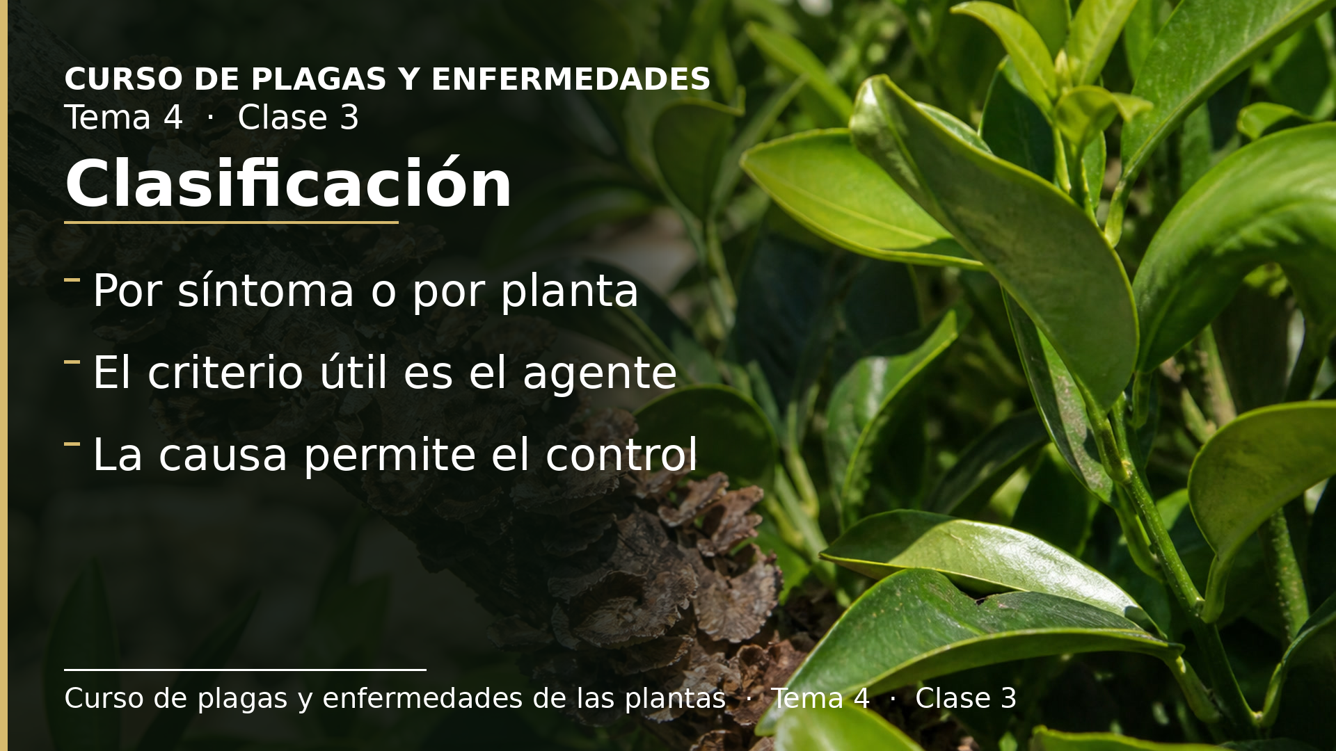 Diapositiva de la clase 3: Clasificación de las enfermedades