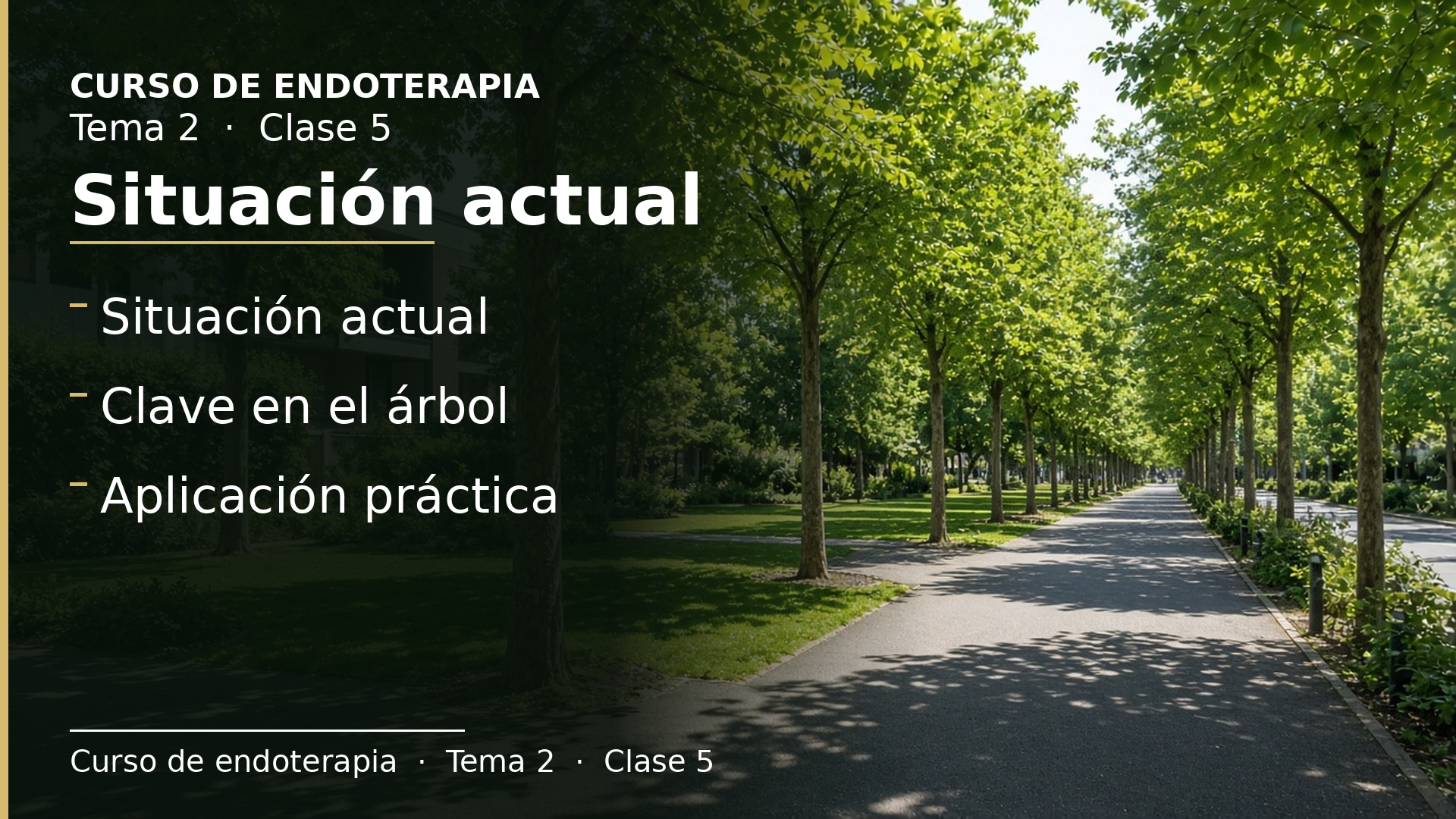 Diapositiva de la clase 5: Situación actual