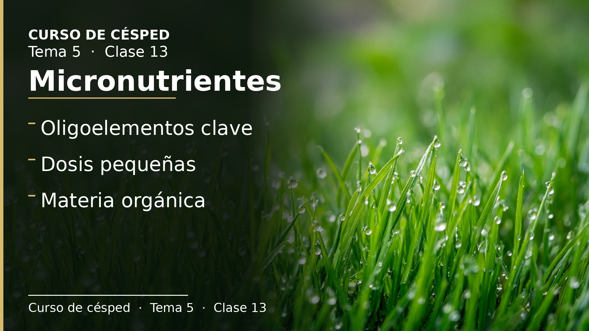 Diapositiva de la clase 13: Micronutrientes