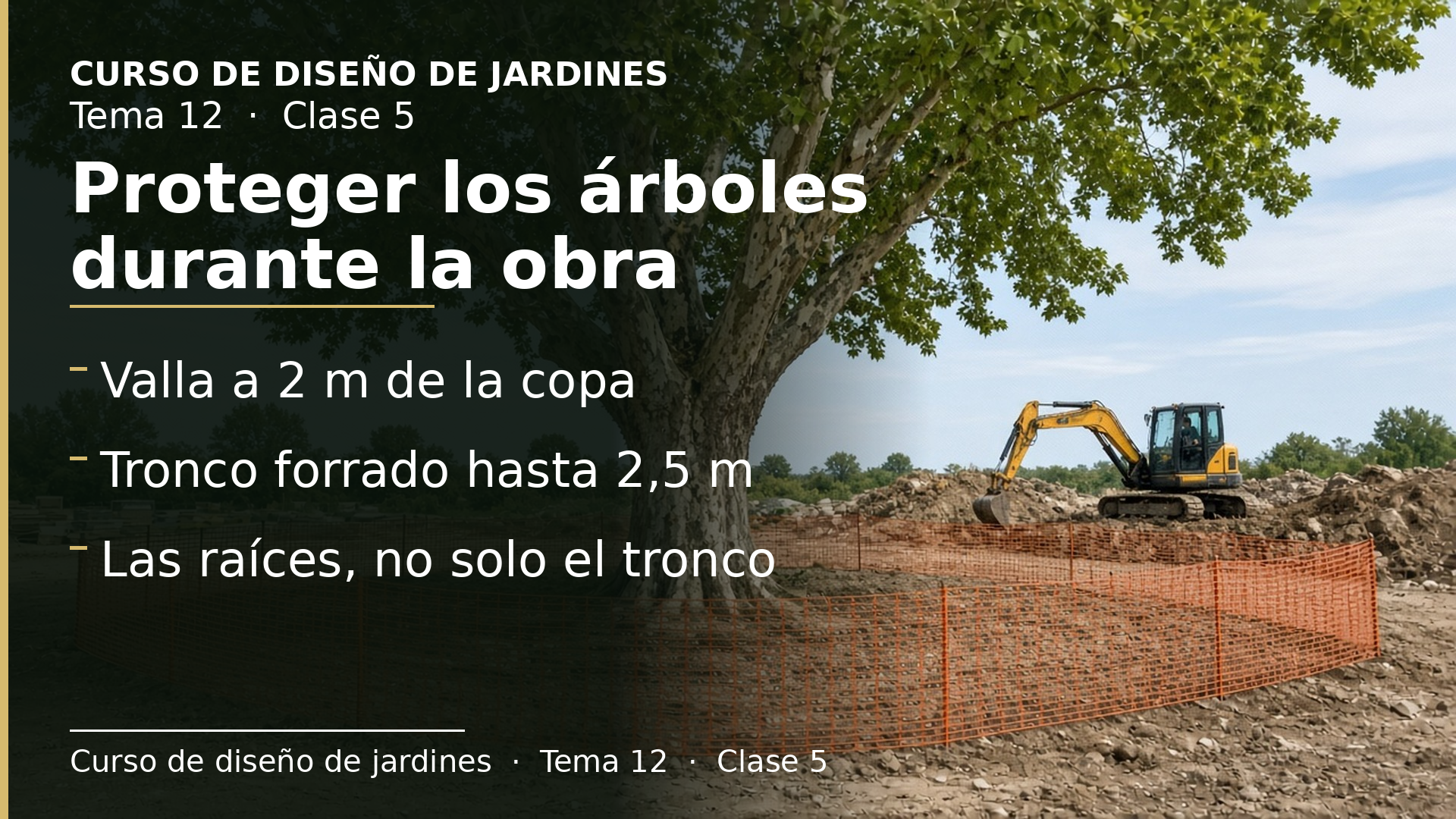 Diapositiva de la clase 5: Proteger los árboles durante la obra