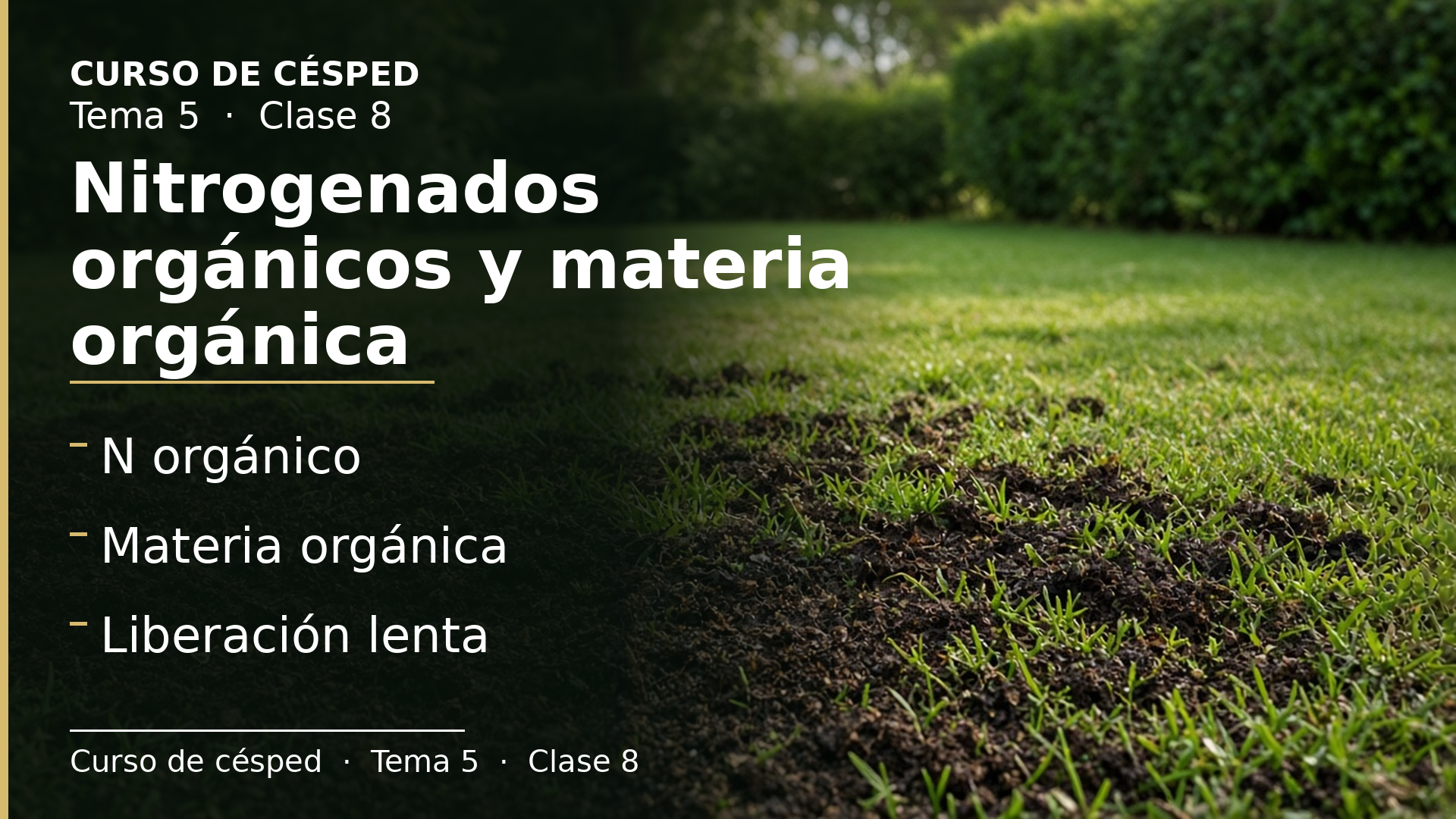Diapositiva de la clase 8: Nitrogenados orgánicos y materia orgánica