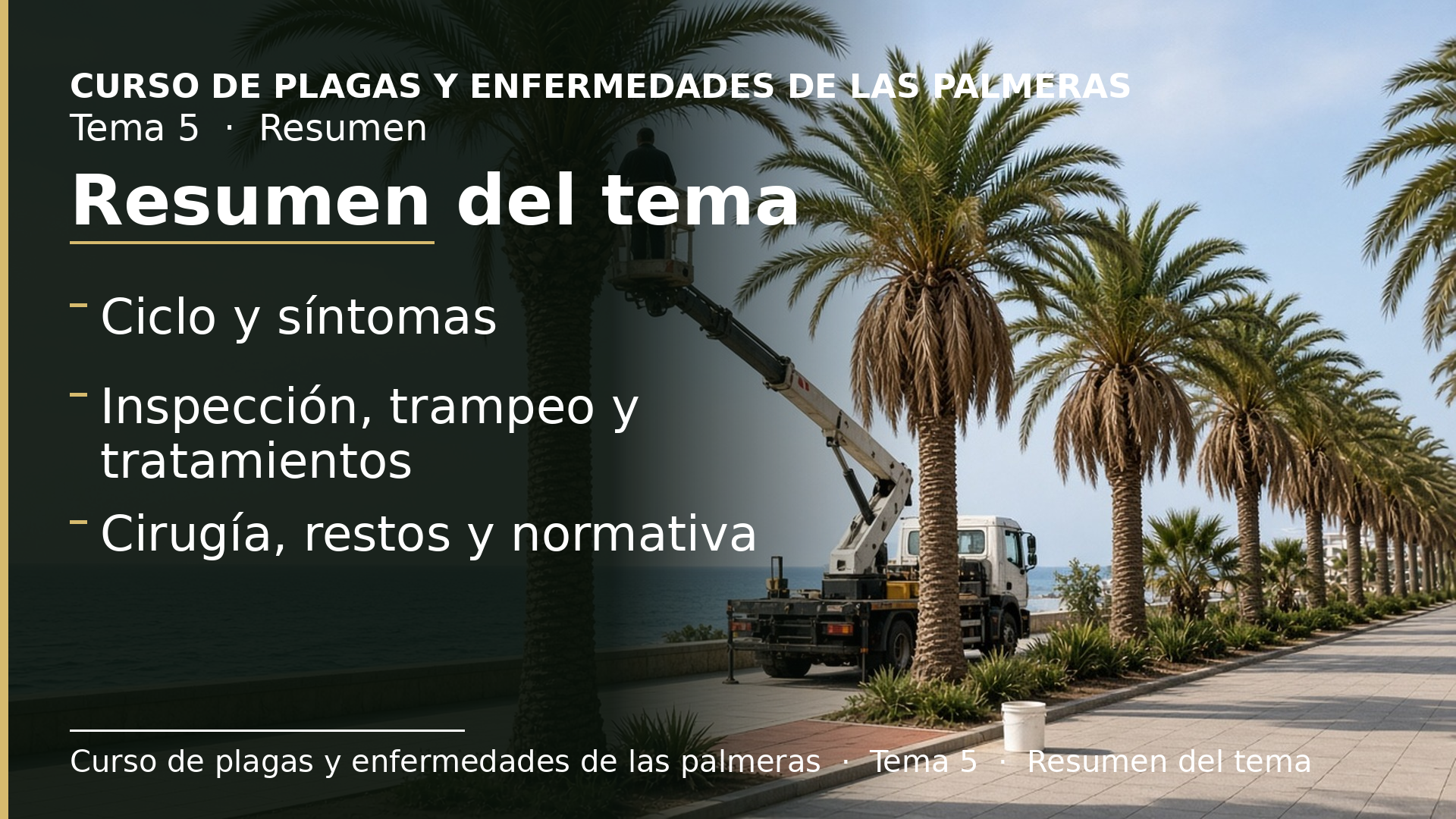 Diapositiva del resumen: Resumen del tema