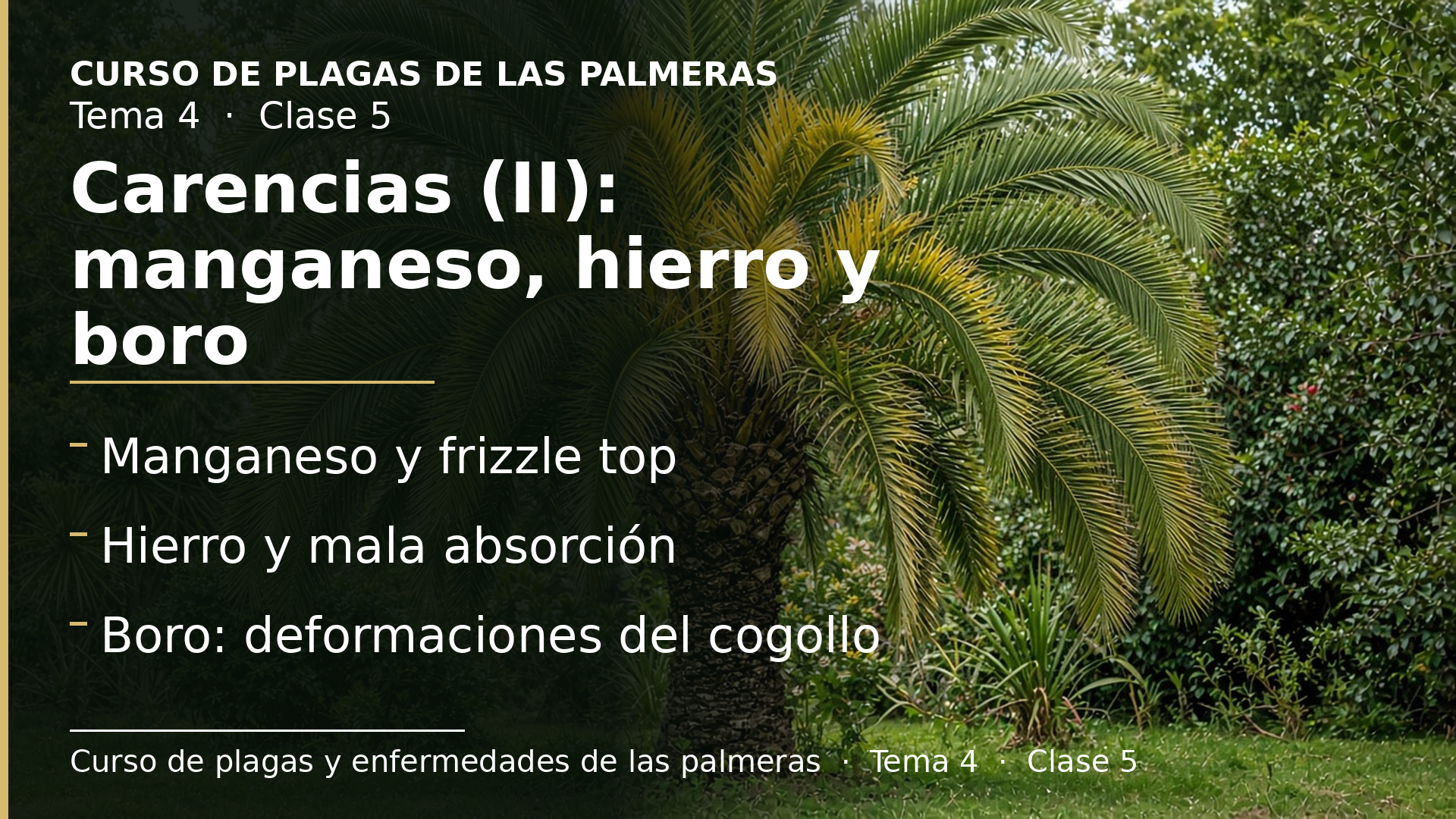 Diapositiva de la clase 5: Carencias (II): manganeso, hierro y boro