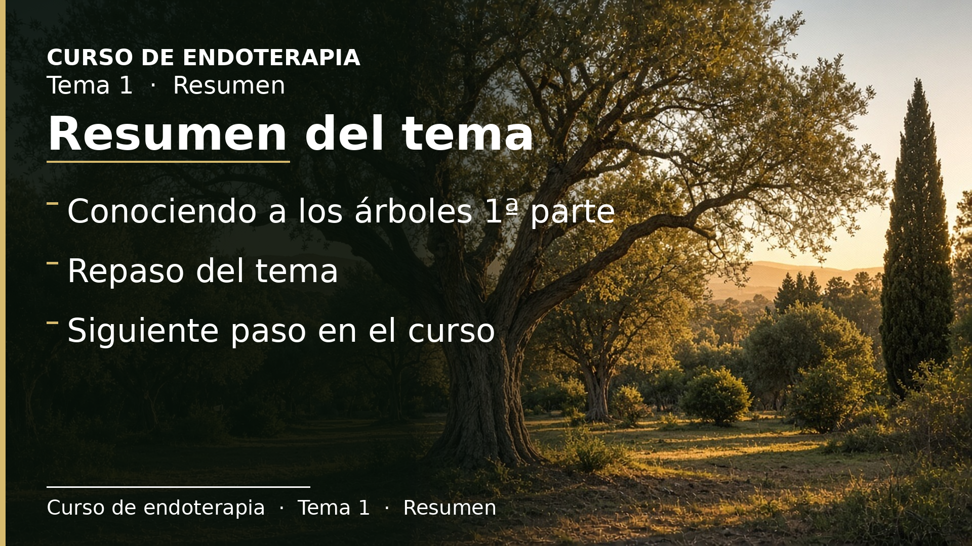 Diapositiva del resumen: Resumen del tema