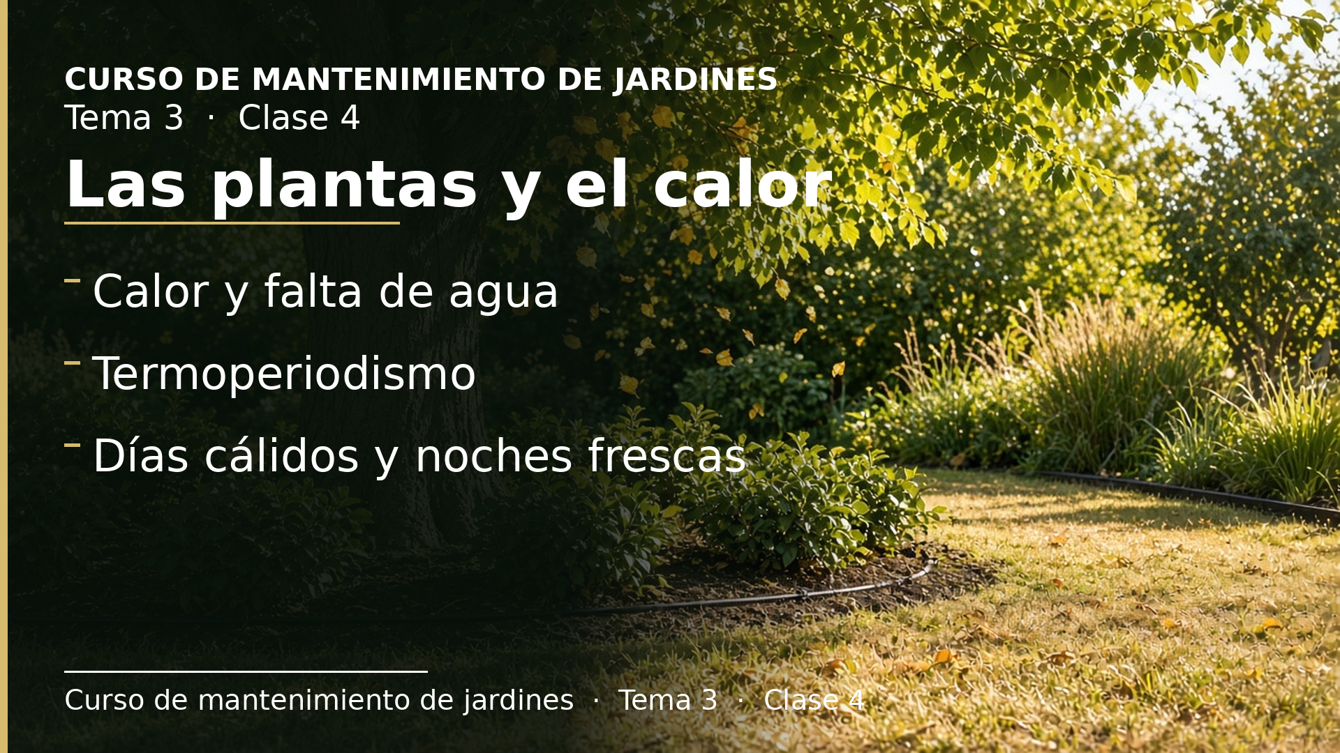 Diapositiva de la clase 4: Las plantas y el calor
