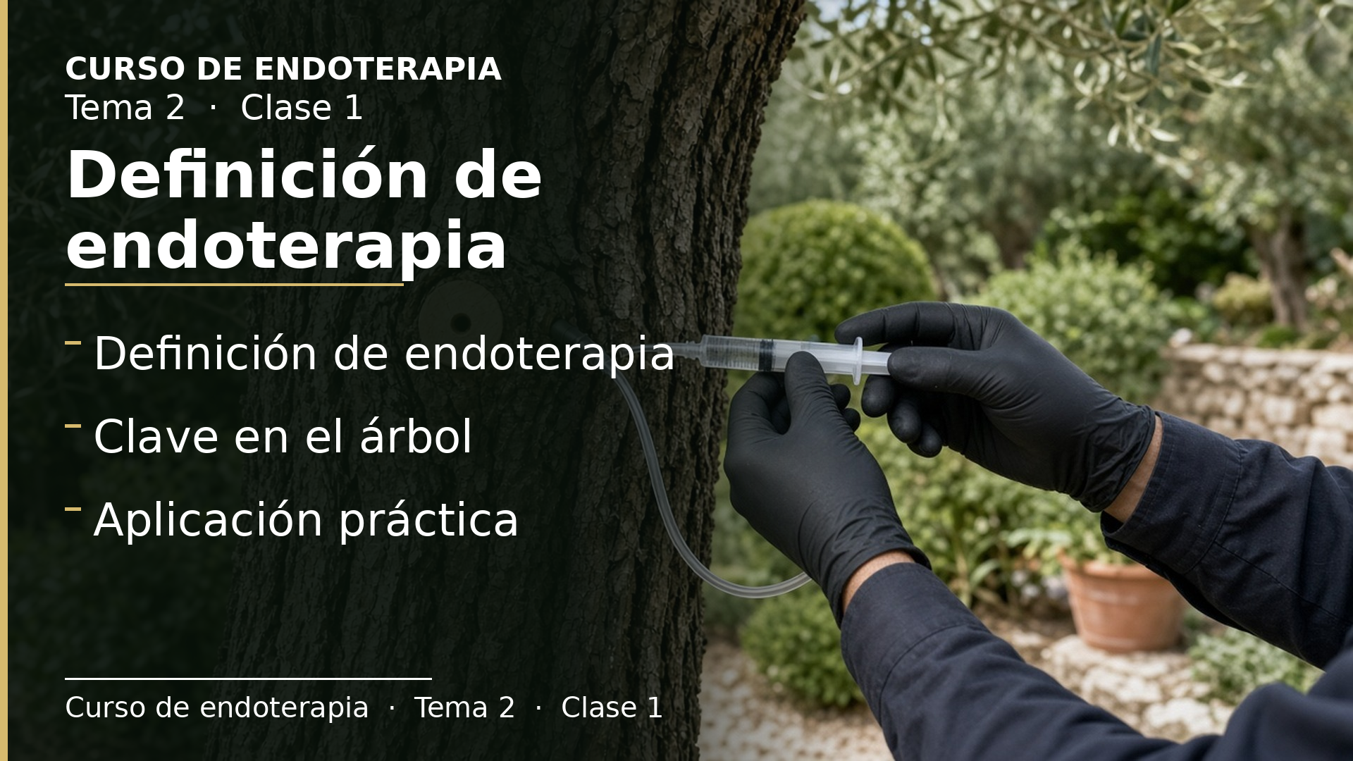 Diapositiva de la clase 1: Definición de endoterapia