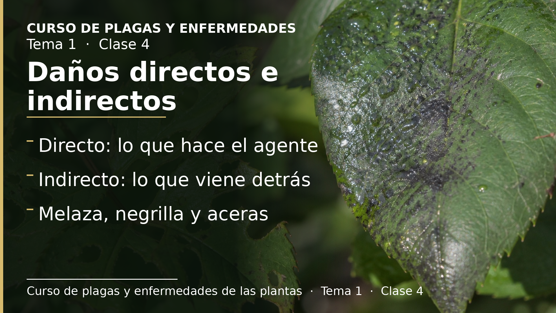 Diapositiva de la clase 4: Daños directos e indirectos
