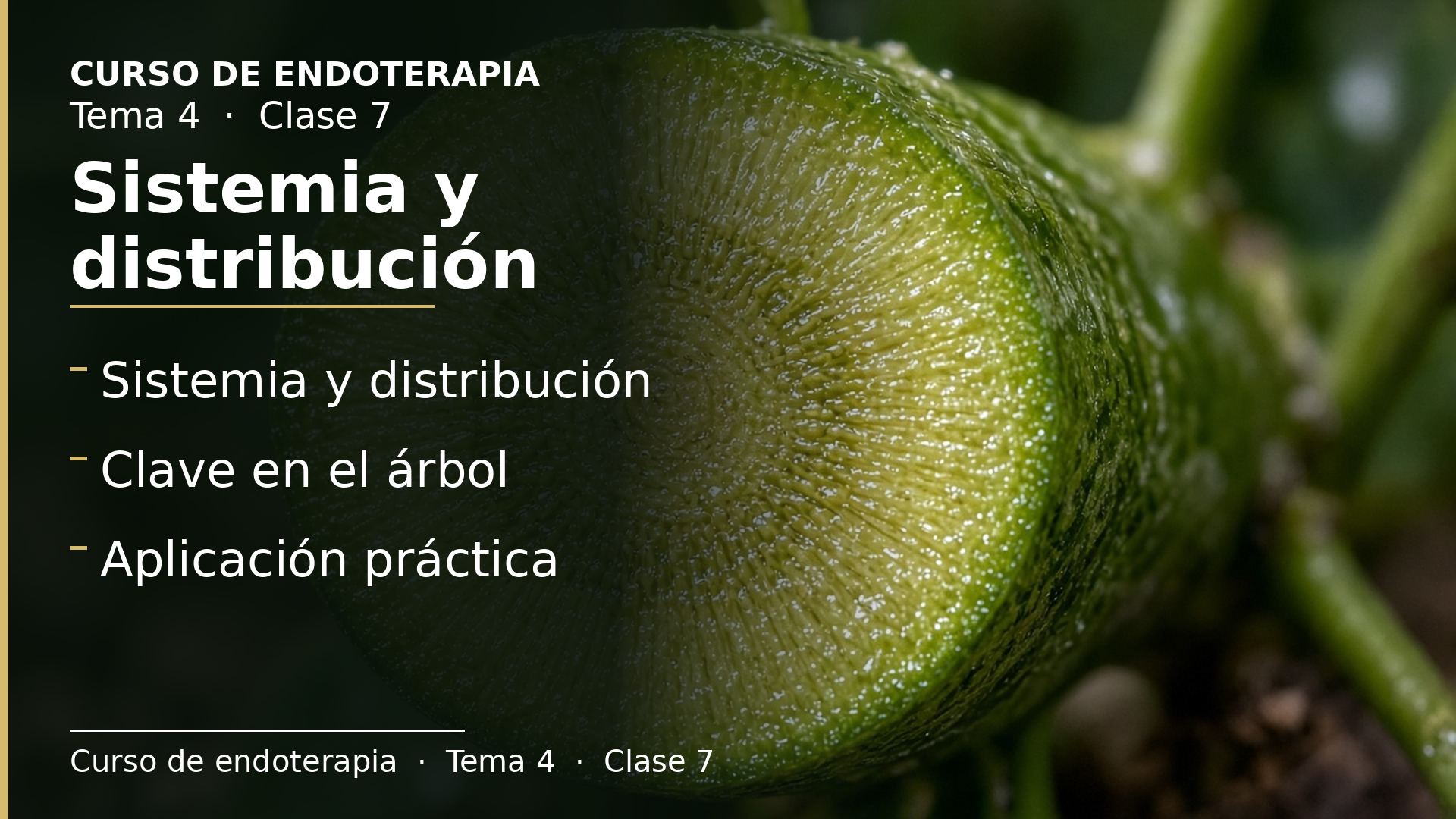 Diapositiva de la clase 7: Sistemia y distribución