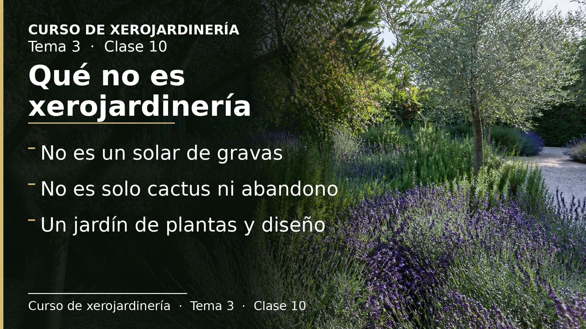 Diapositiva de la clase 10: Qué no es xerojardinería
