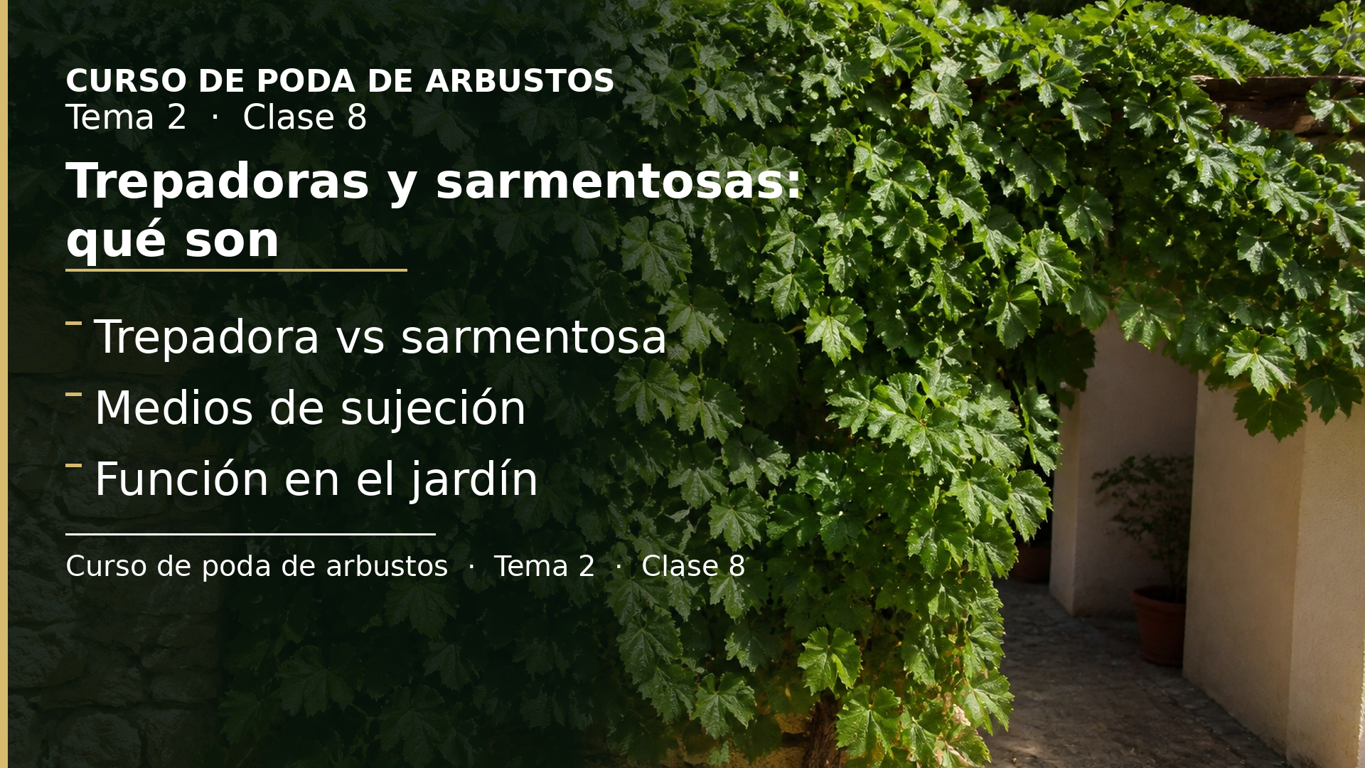 Diapositiva de la clase 8: Trepadoras y sarmentosas: qué son