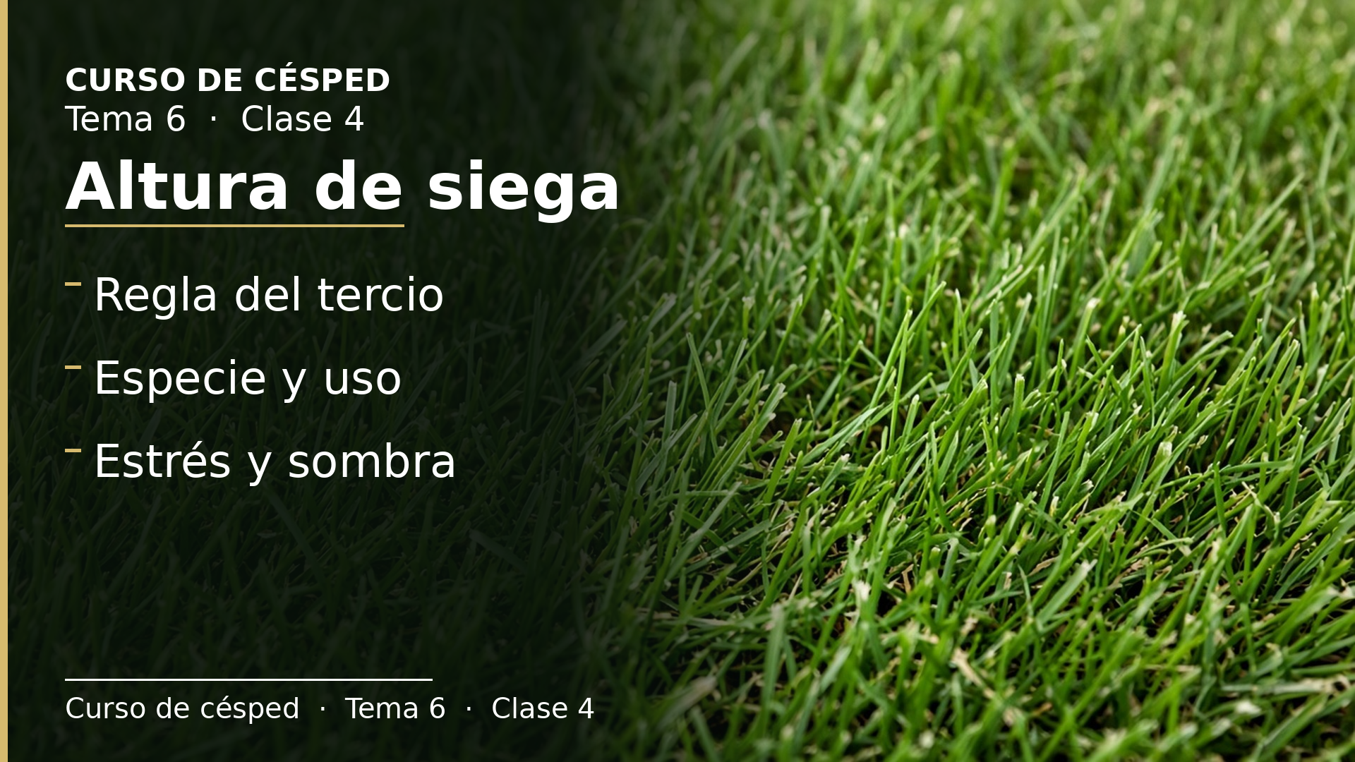Diapositiva de la clase 4: Altura de siega