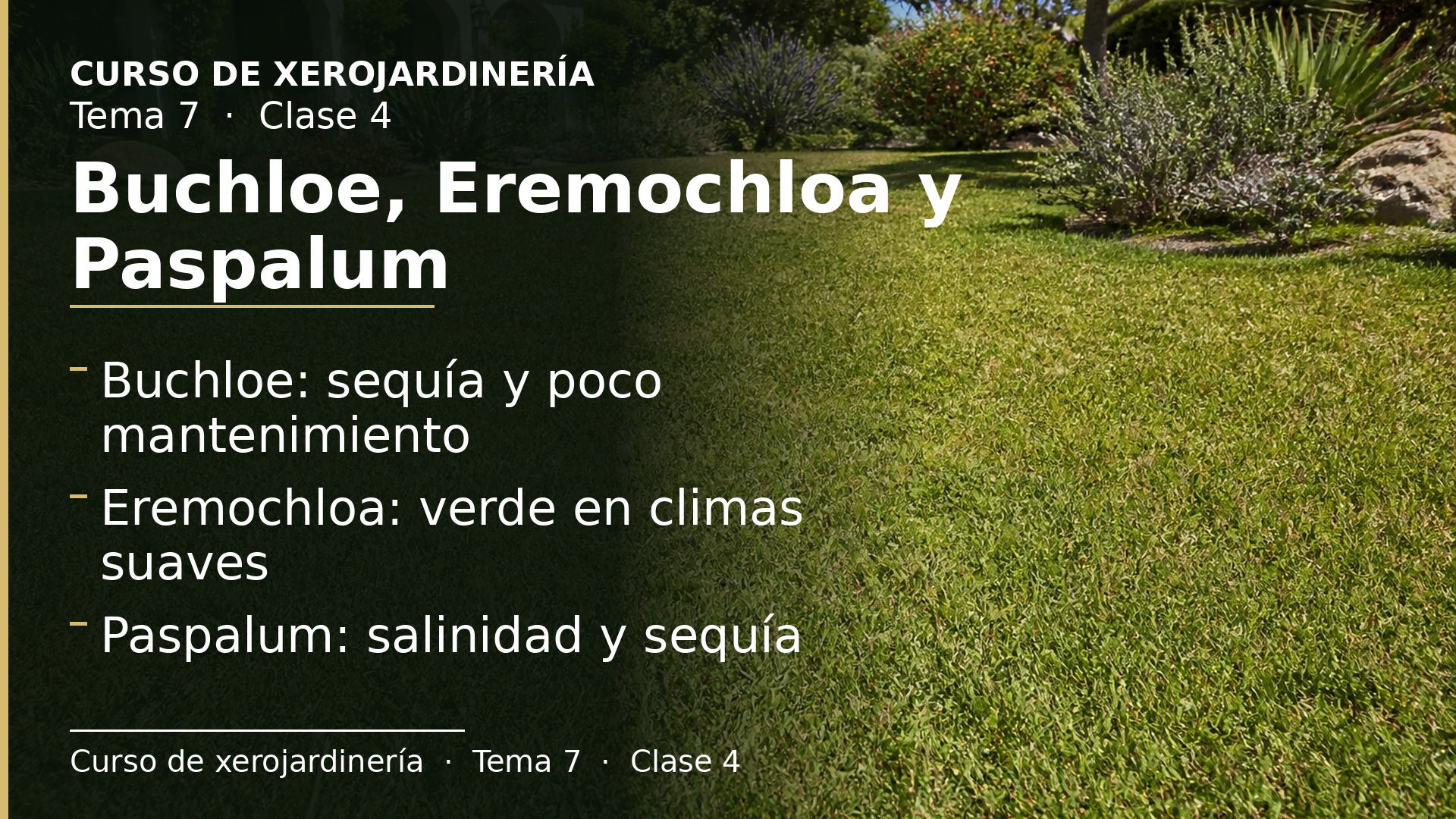 Diapositiva de la clase 4: Buchloe, Eremochloa y Paspalum