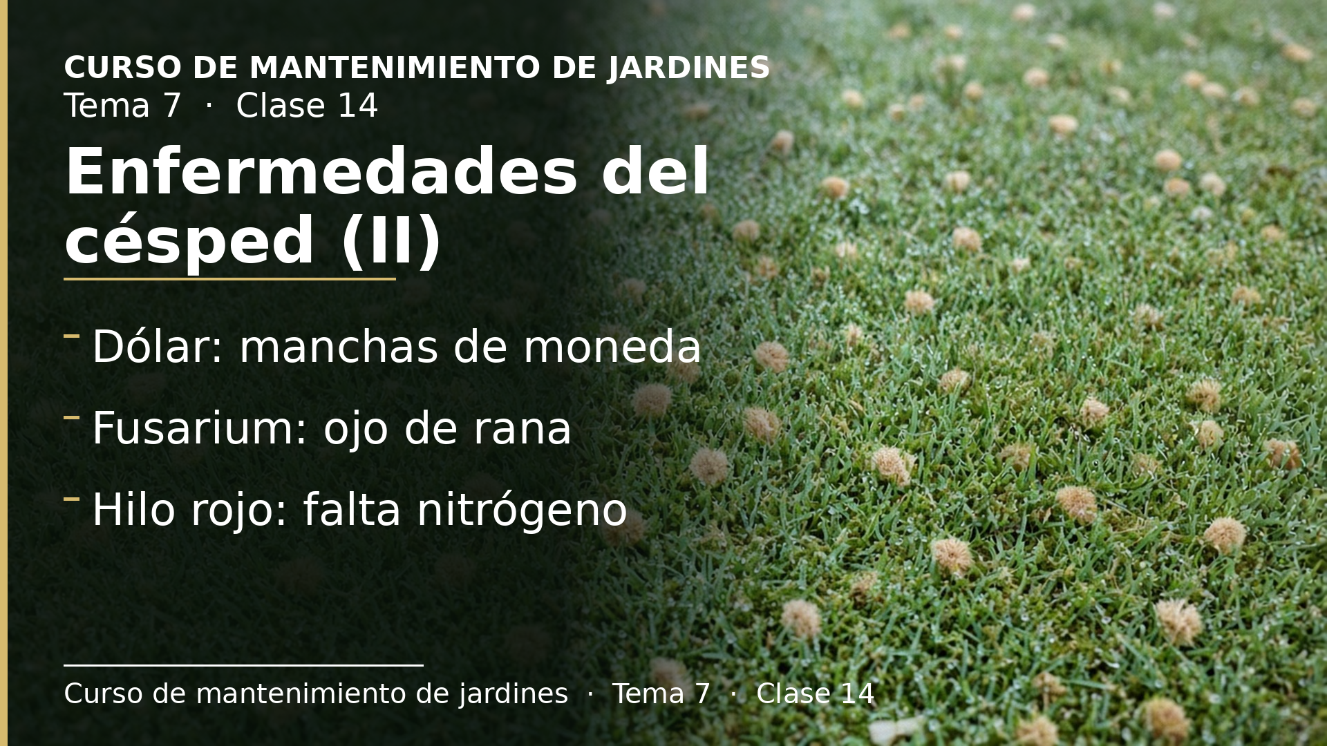 Diapositiva de la clase 14: Enfermedades del césped (II)