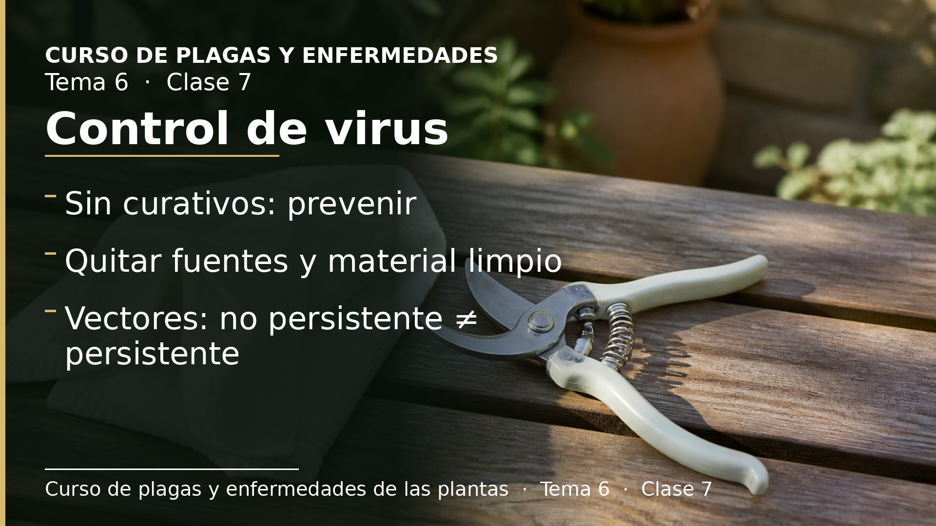 Diapositiva de la clase 7: Control de virus