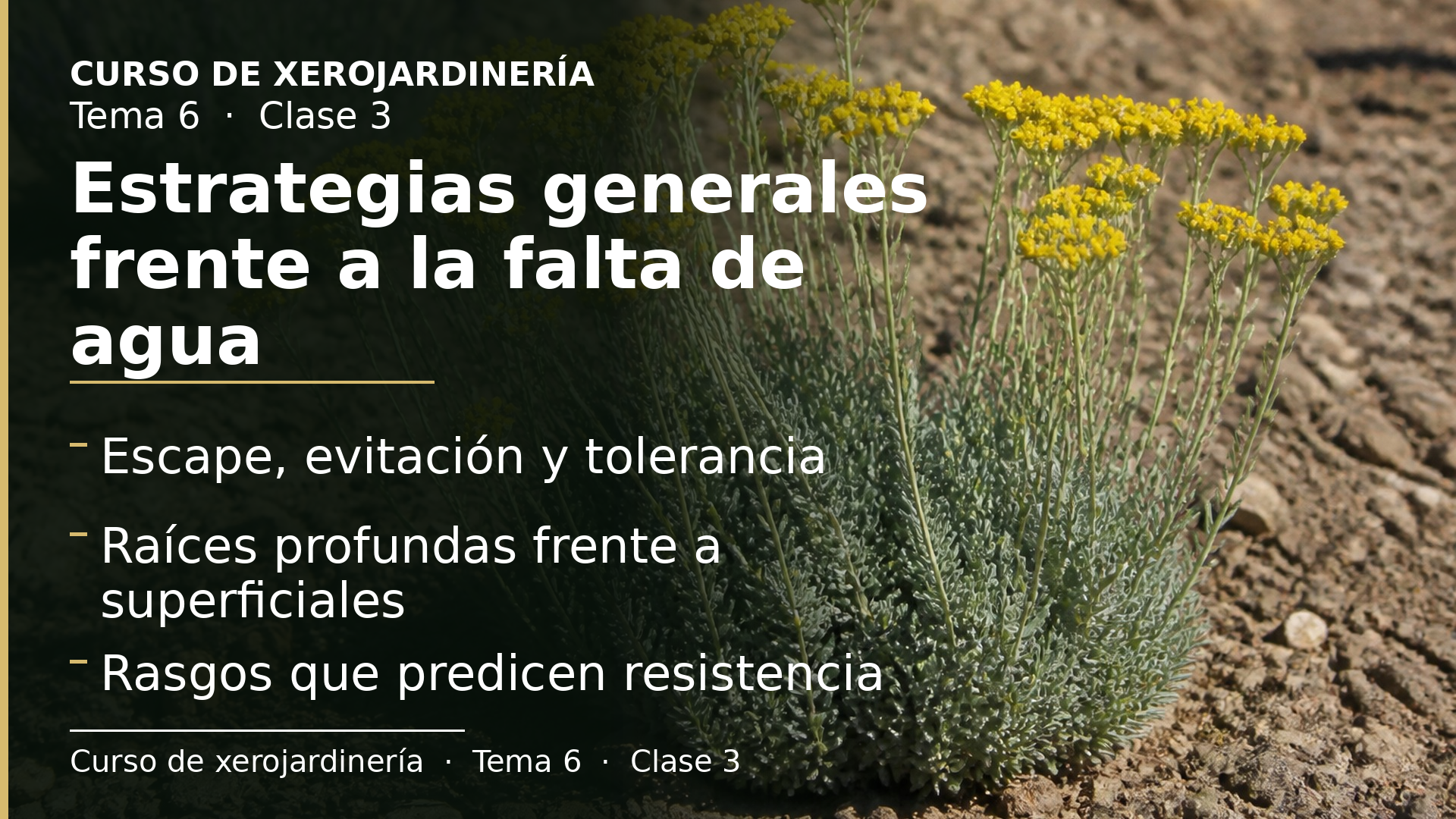 Diapositiva de la clase 3: Estrategias generales frente a la falta de agua