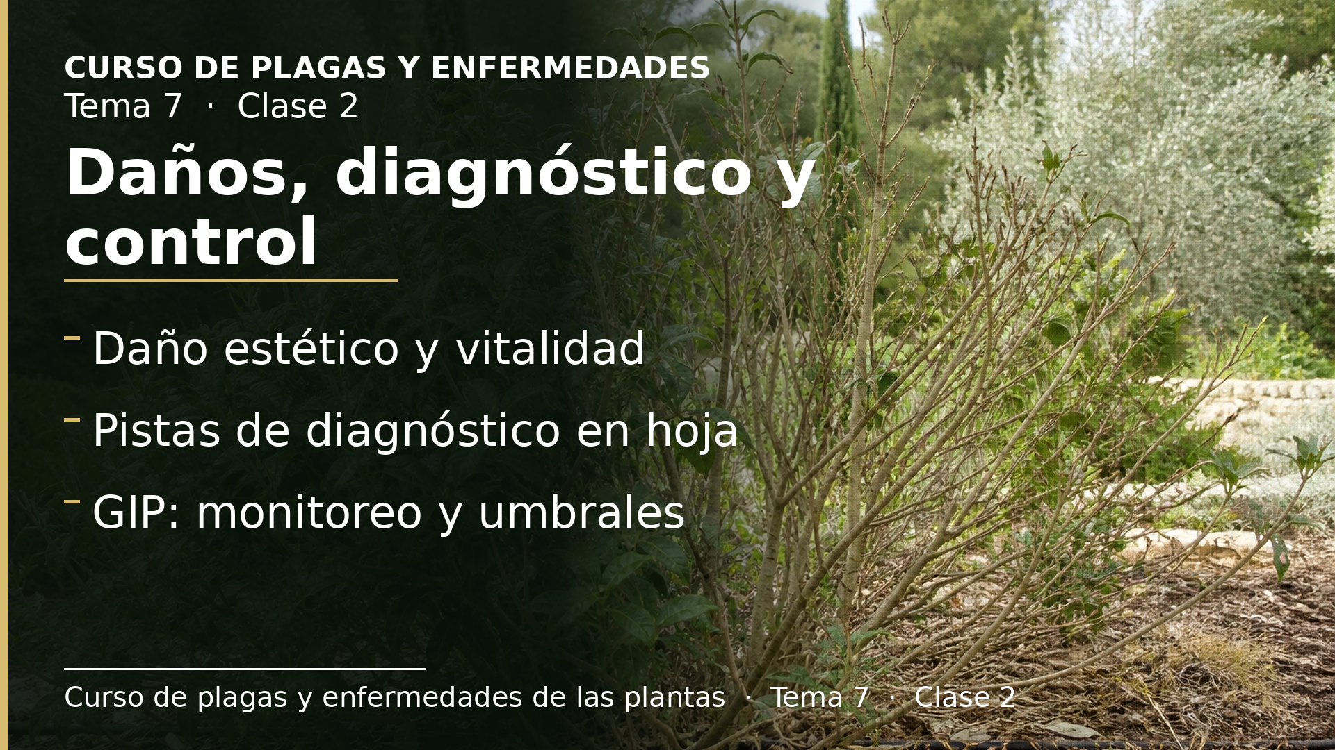Diapositiva de la clase 2: Defoliadores: predisposición, daños, diagnóstico y control