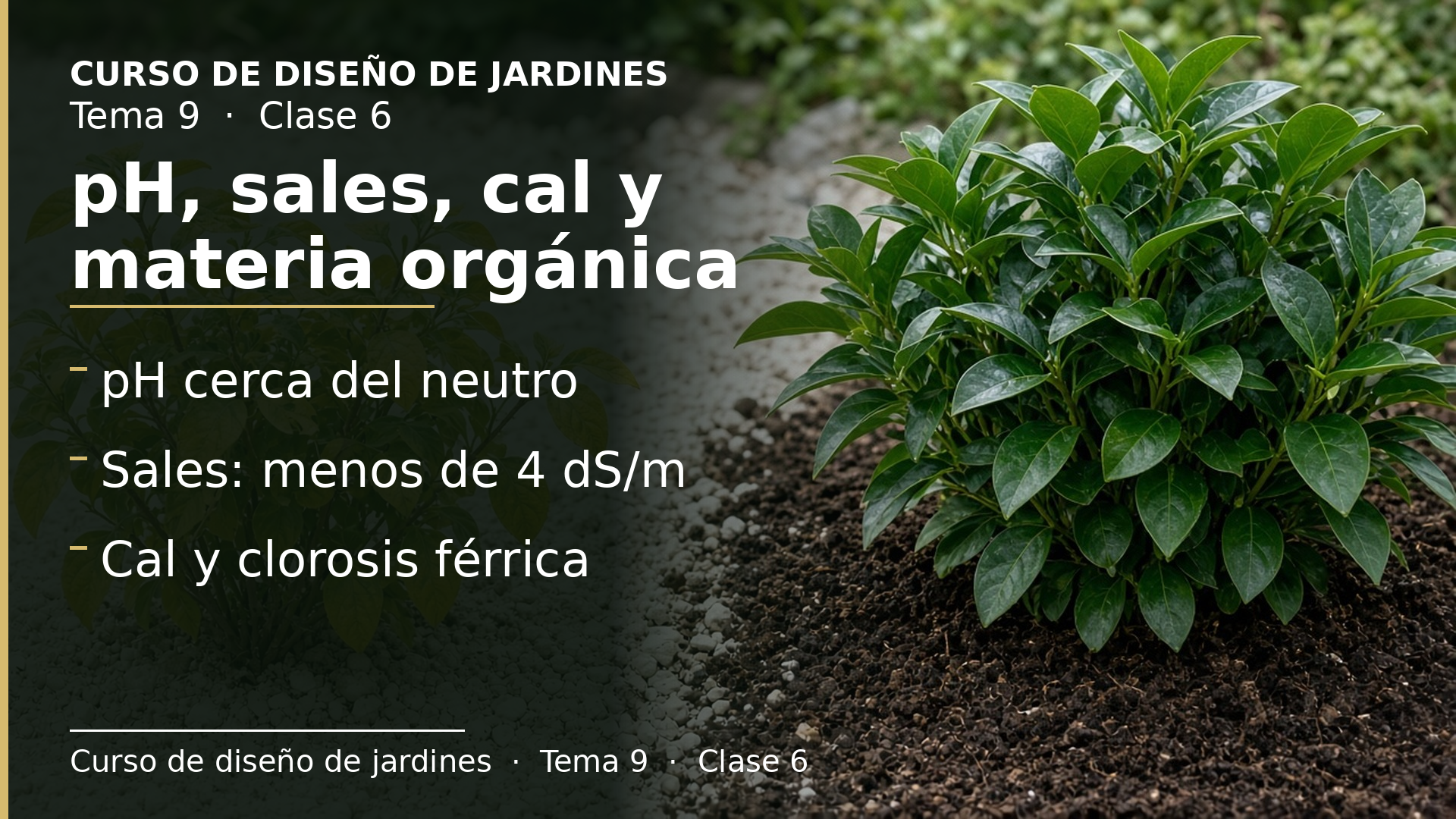 Diapositiva de la clase 6: pH, conductividad, caliza y materia orgánica