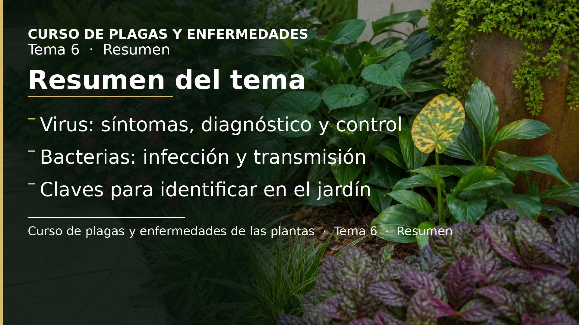 Diapositiva del resumen: Resumen del tema