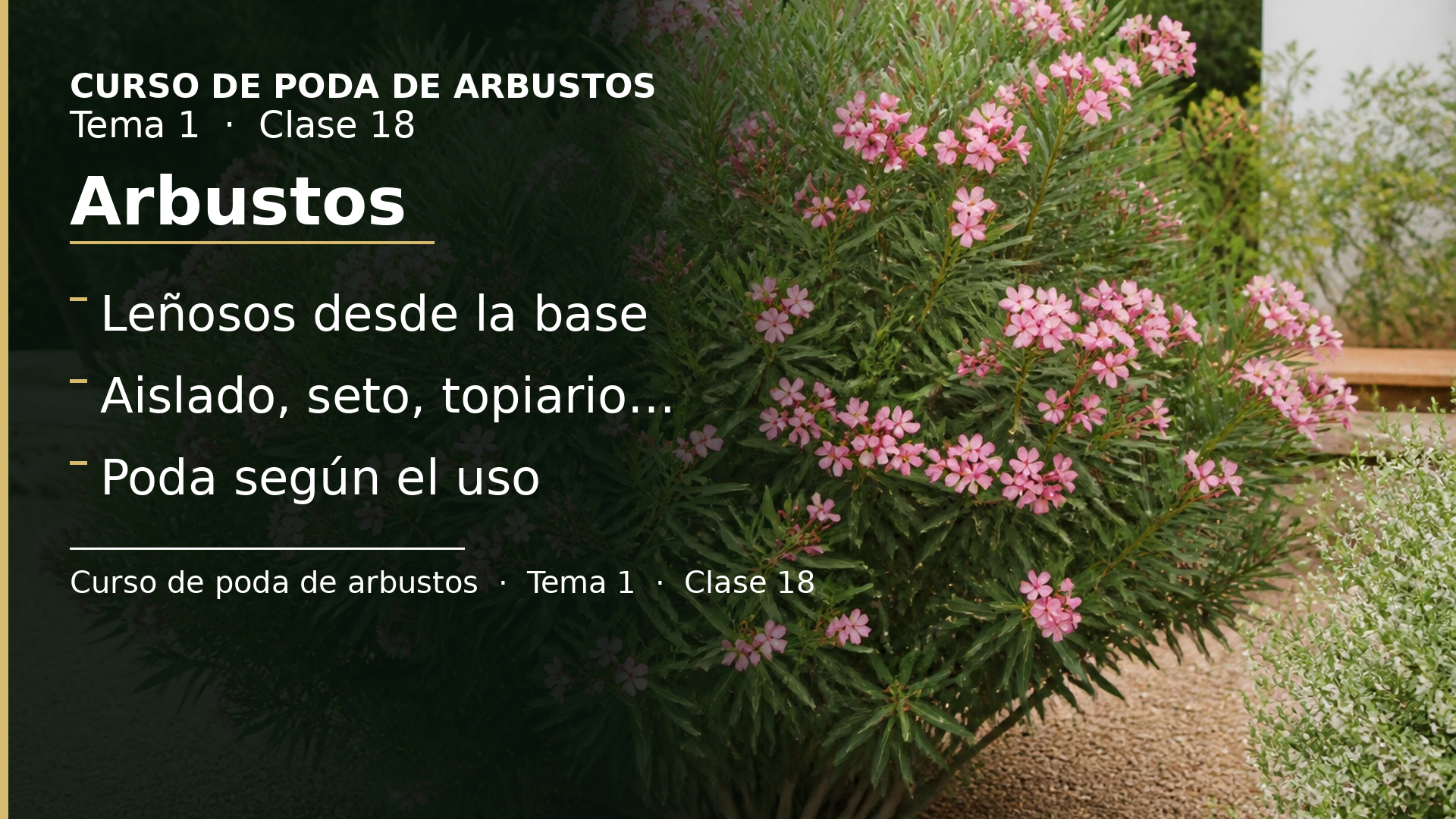 Diapositiva de la clase 18: Arbustos