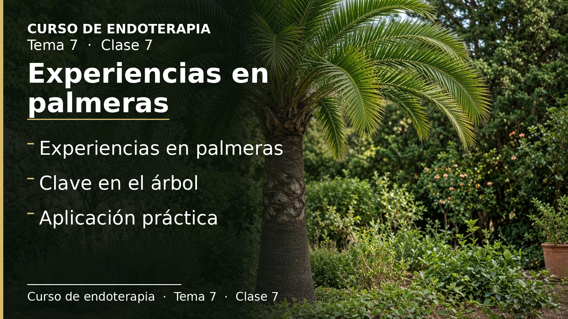 Diapositiva de la clase 7: Experiencias en palmeras
