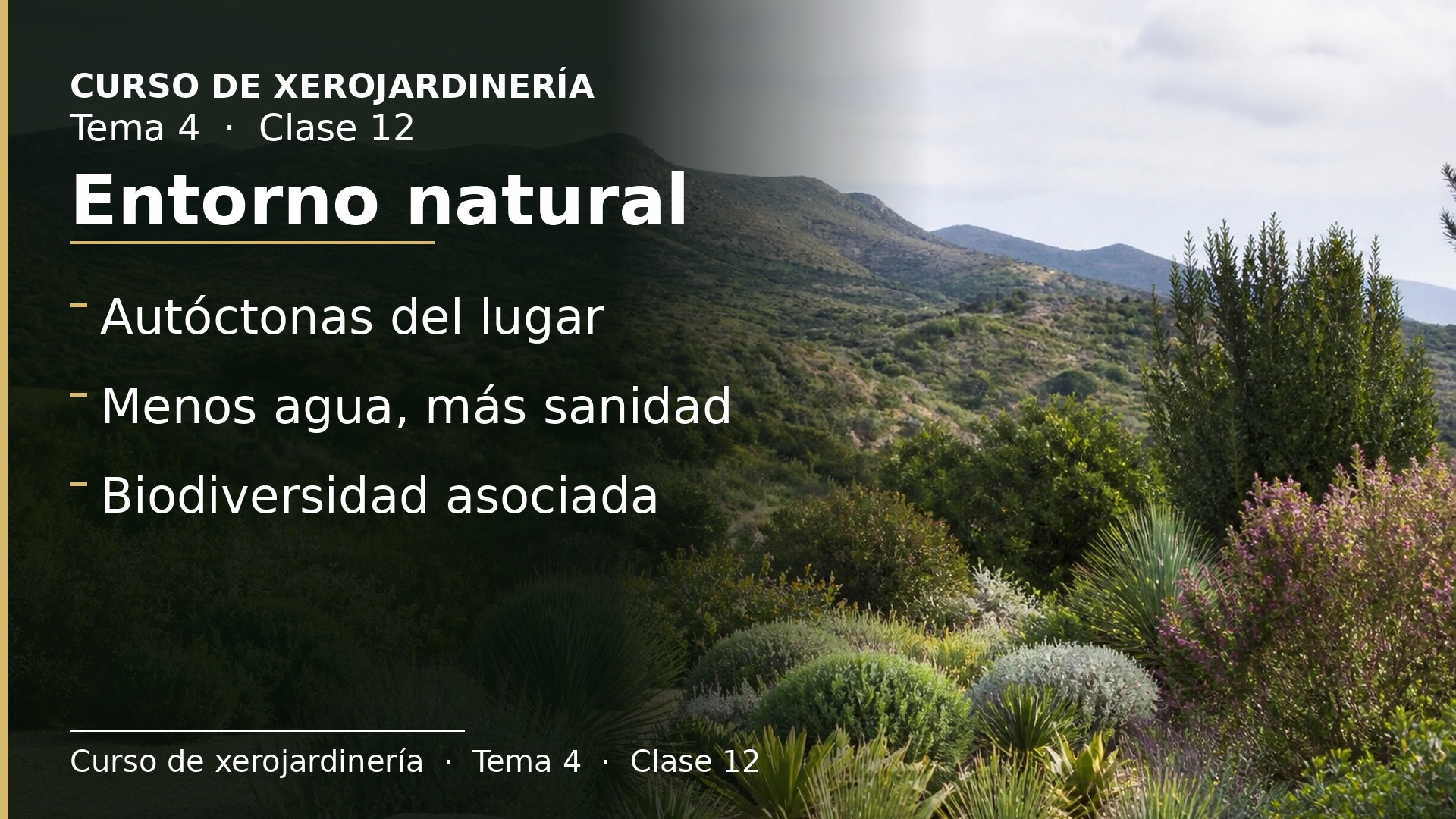 Diapositiva de la clase 12: Entorno natural