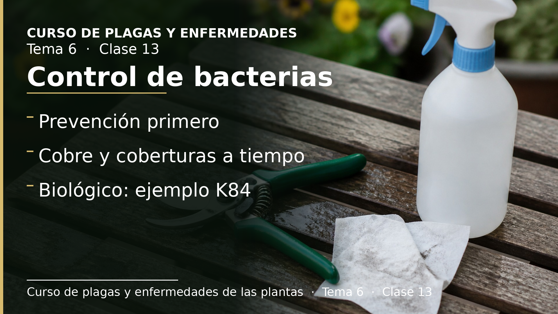 Diapositiva de la clase 13: Control de bacterias