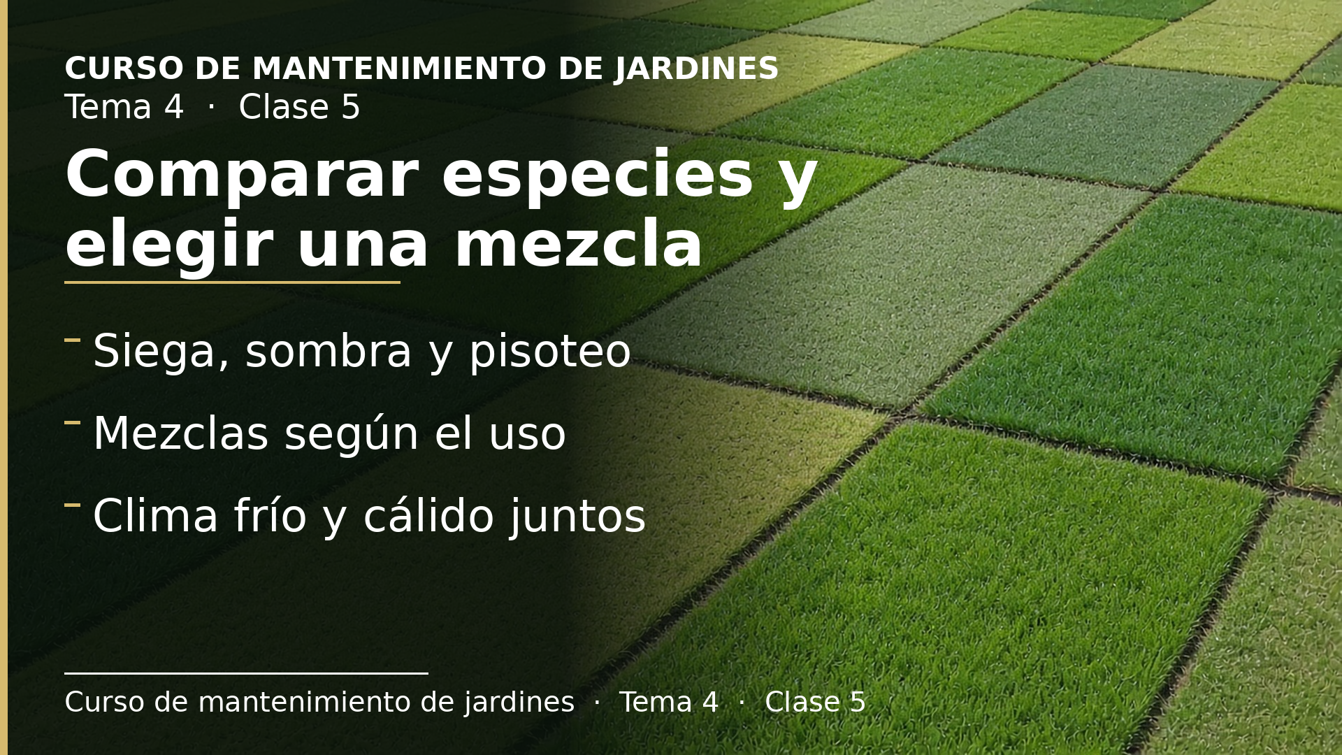 Diapositiva de la clase 5: Comparar especies y elegir una mezcla