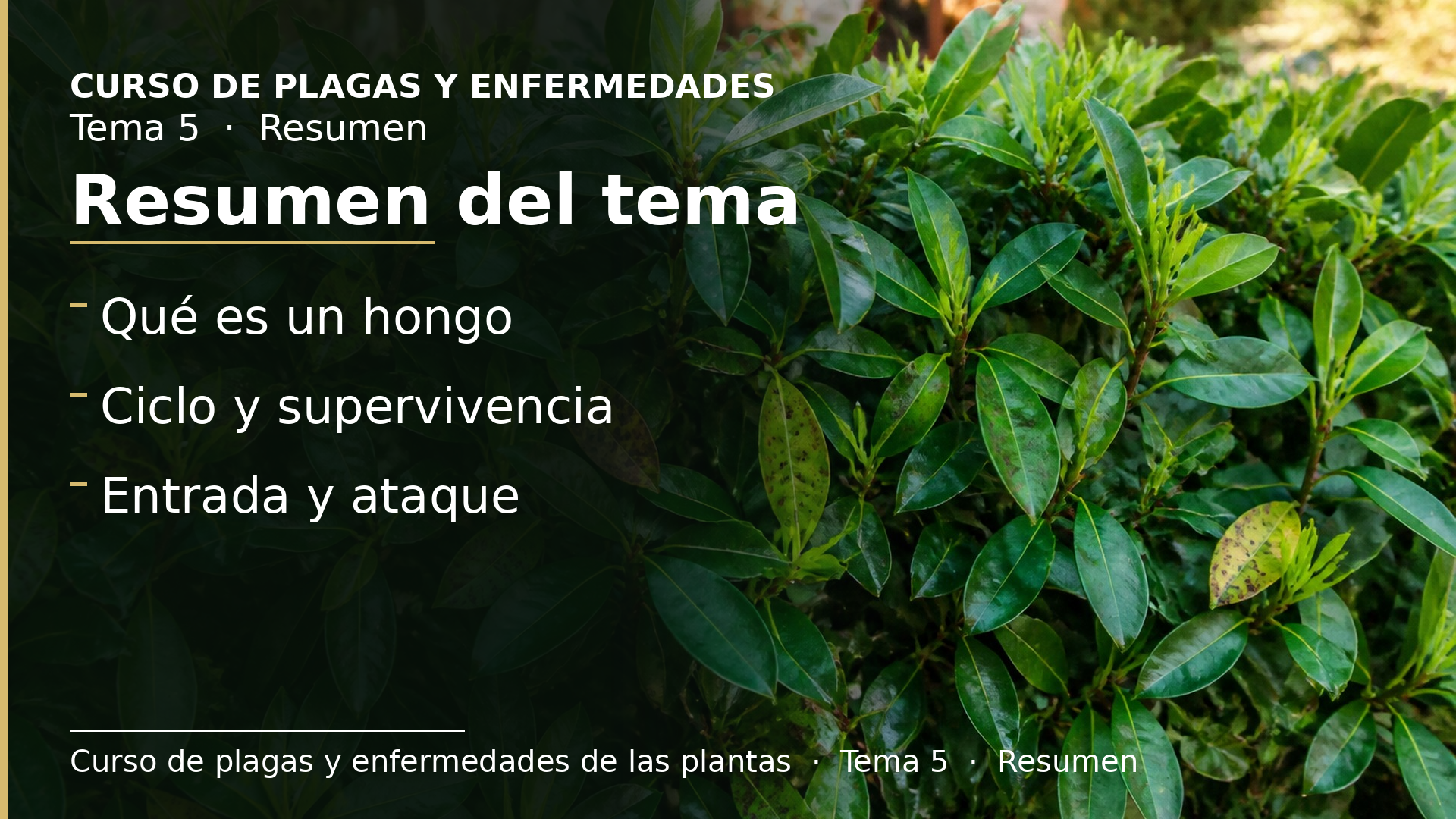 Diapositiva del resumen: Resumen del tema
