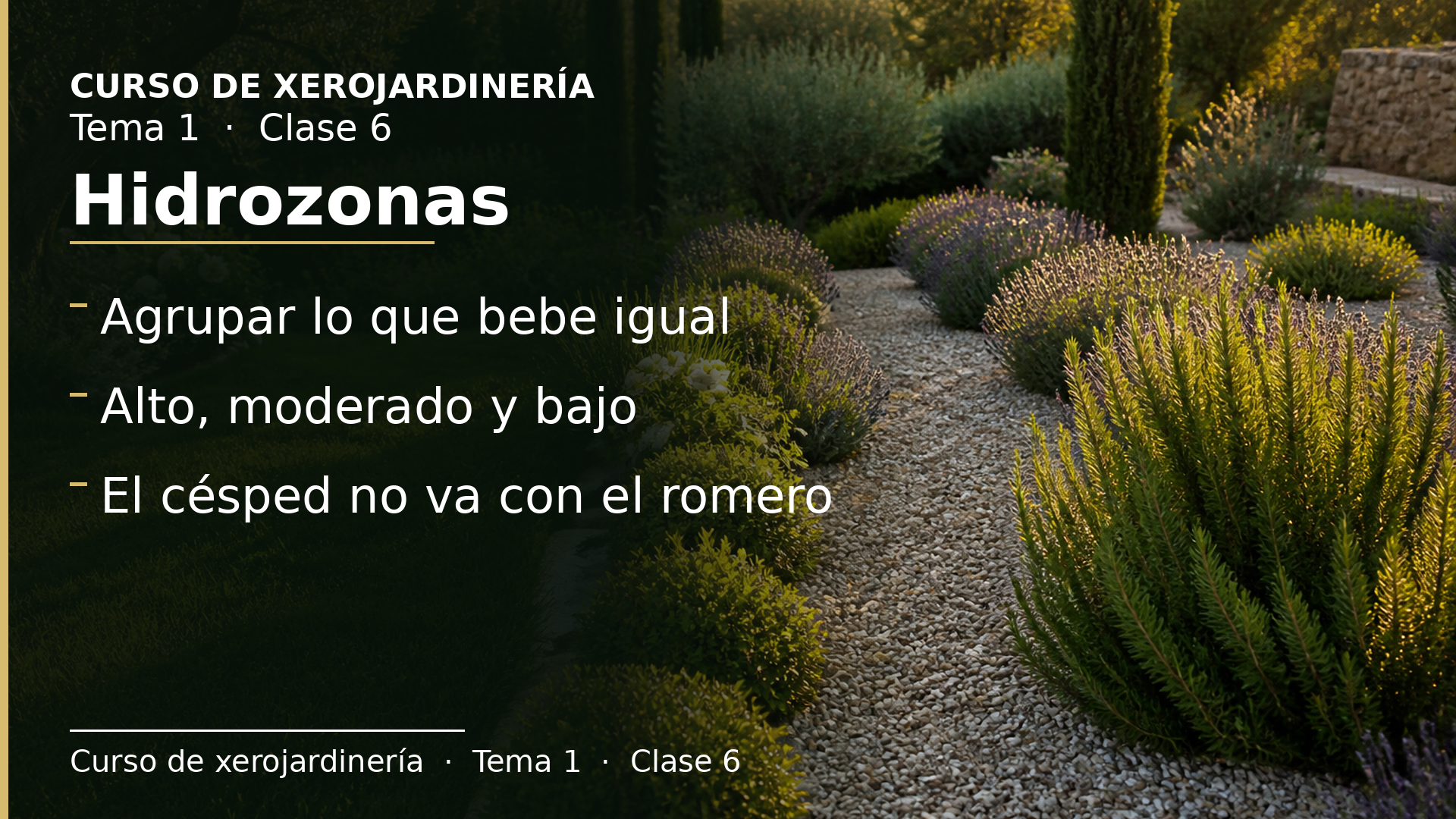 Diapositiva de la clase 6: Hidrozonas