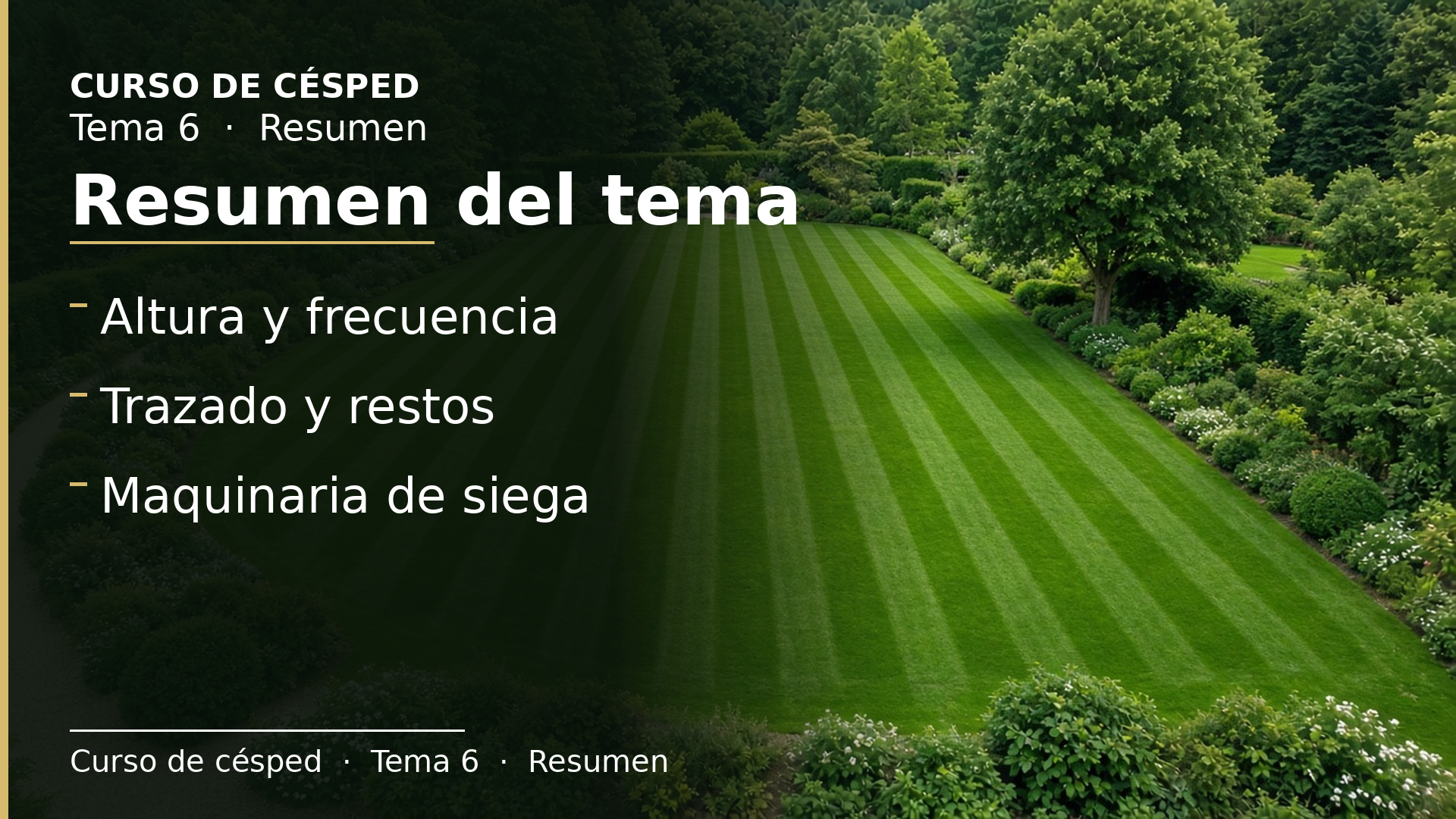 Diapositiva del resumen: Resumen del tema
