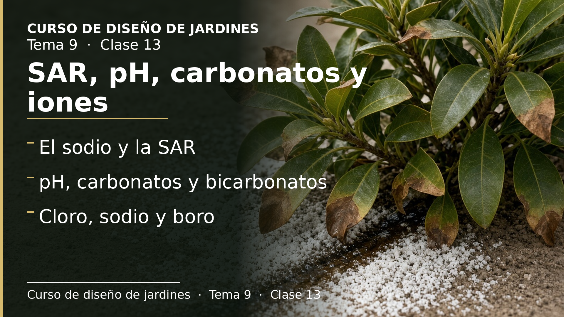 Diapositiva de la clase 13: SAR, pH, carbonatos, bicarbonatos y toxicidad de iones