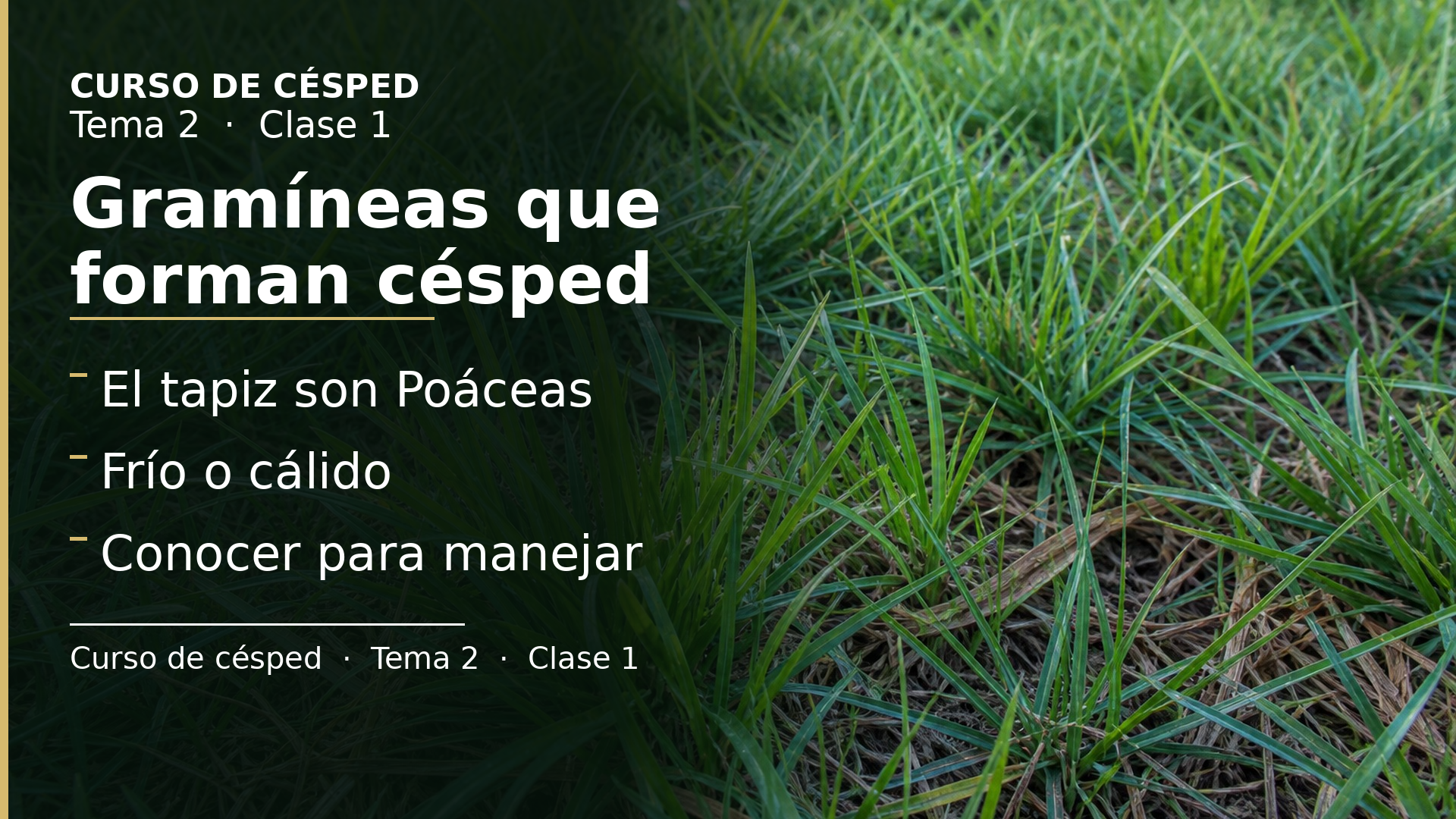 Diapositiva de la clase 1: Gramíneas que forman césped