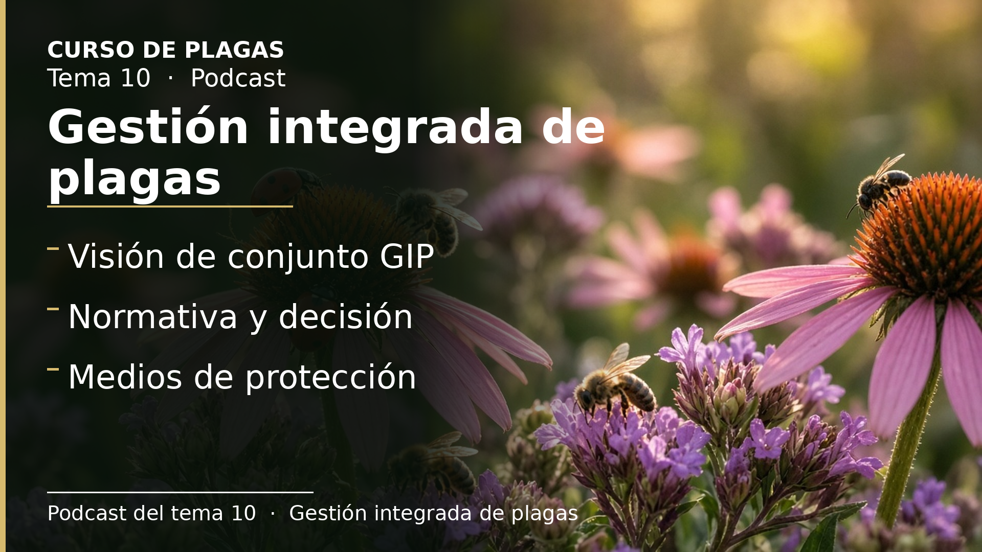 Diapositiva del resumen: Podcast del tema 10 · Gestión integrada de plagas