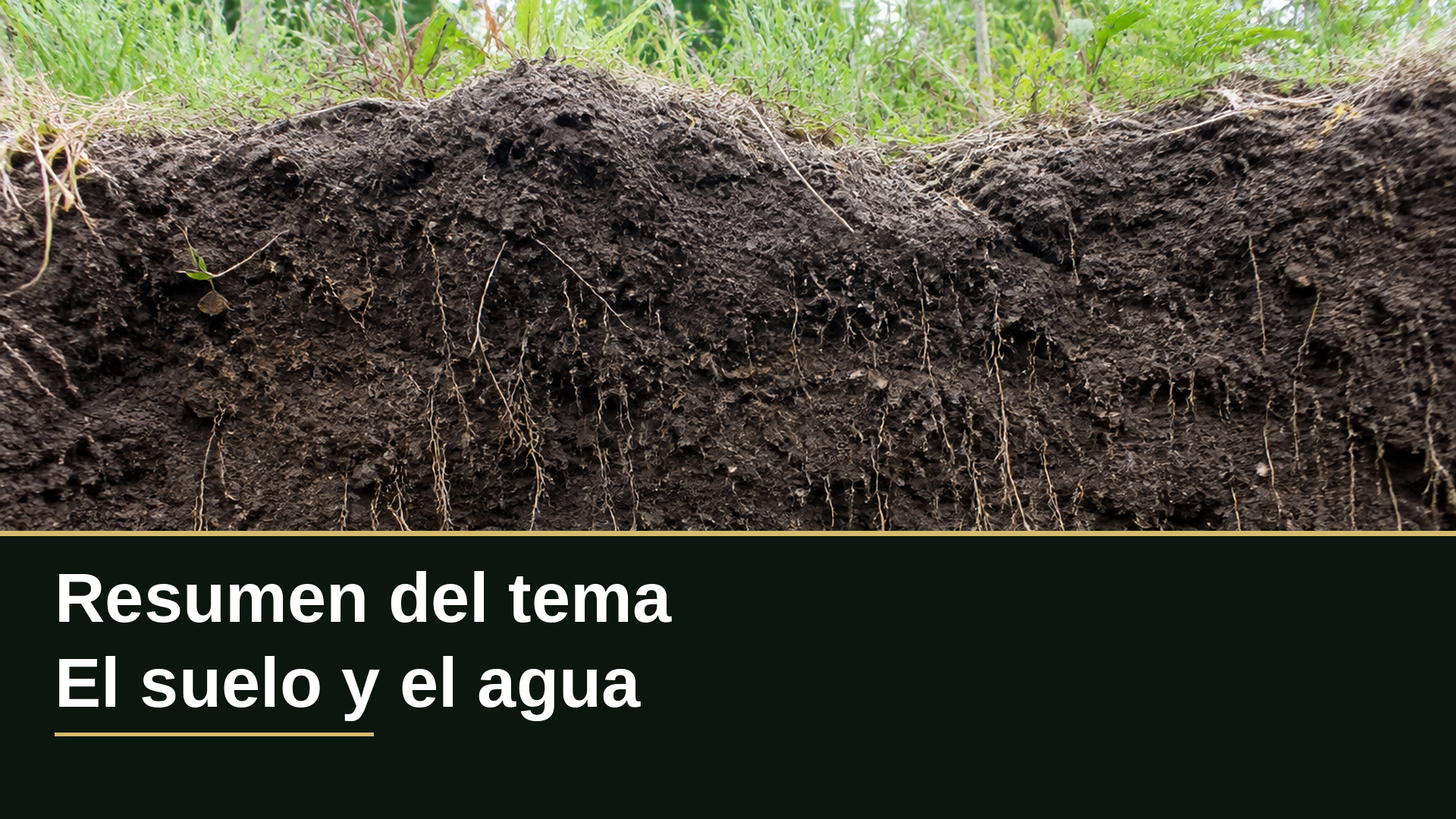 Diapositiva del resumen: Resumen del tema