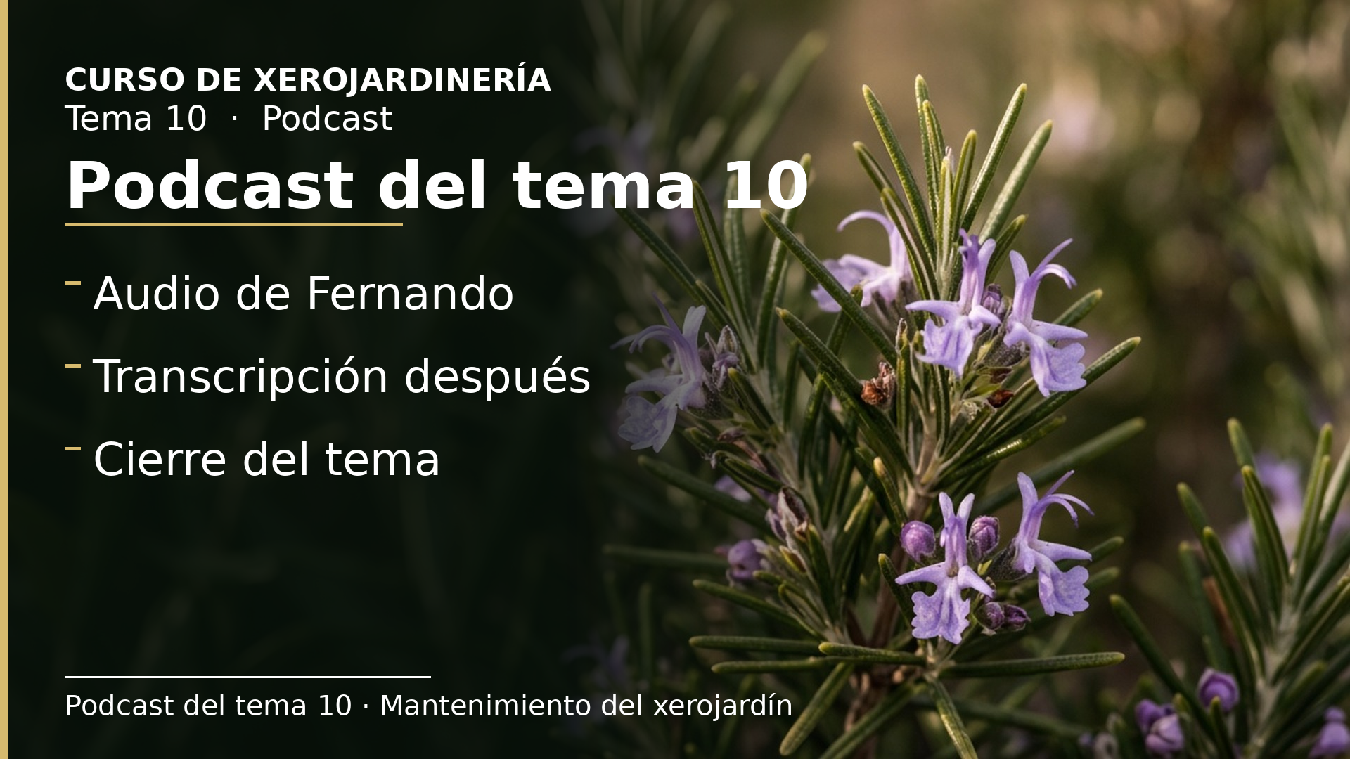 Diapositiva del resumen: Podcast del tema 10 · Mantenimiento del xerojardín