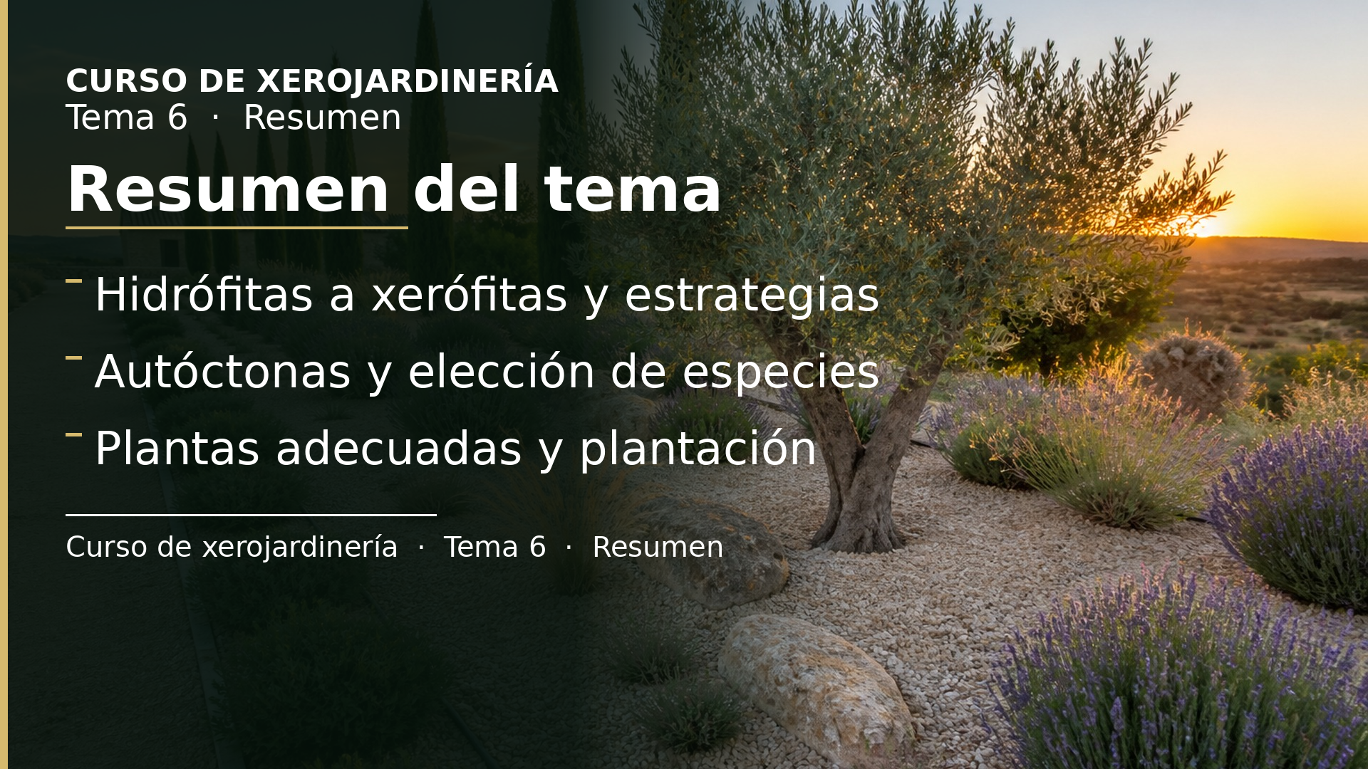 Diapositiva del resumen: Resumen del tema