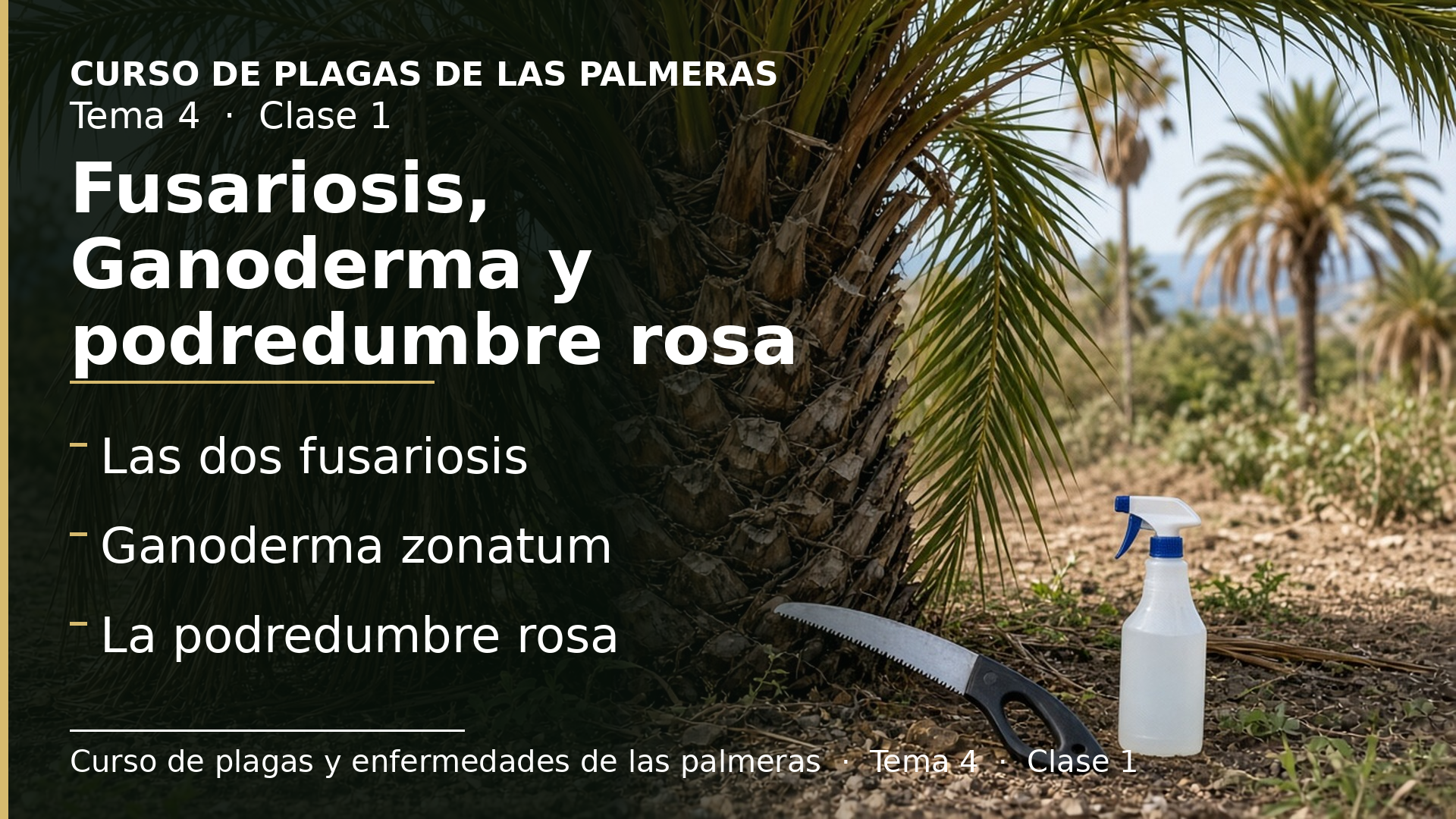 Diapositiva de la clase 1: Fusariosis, Ganoderma y podredumbre rosa