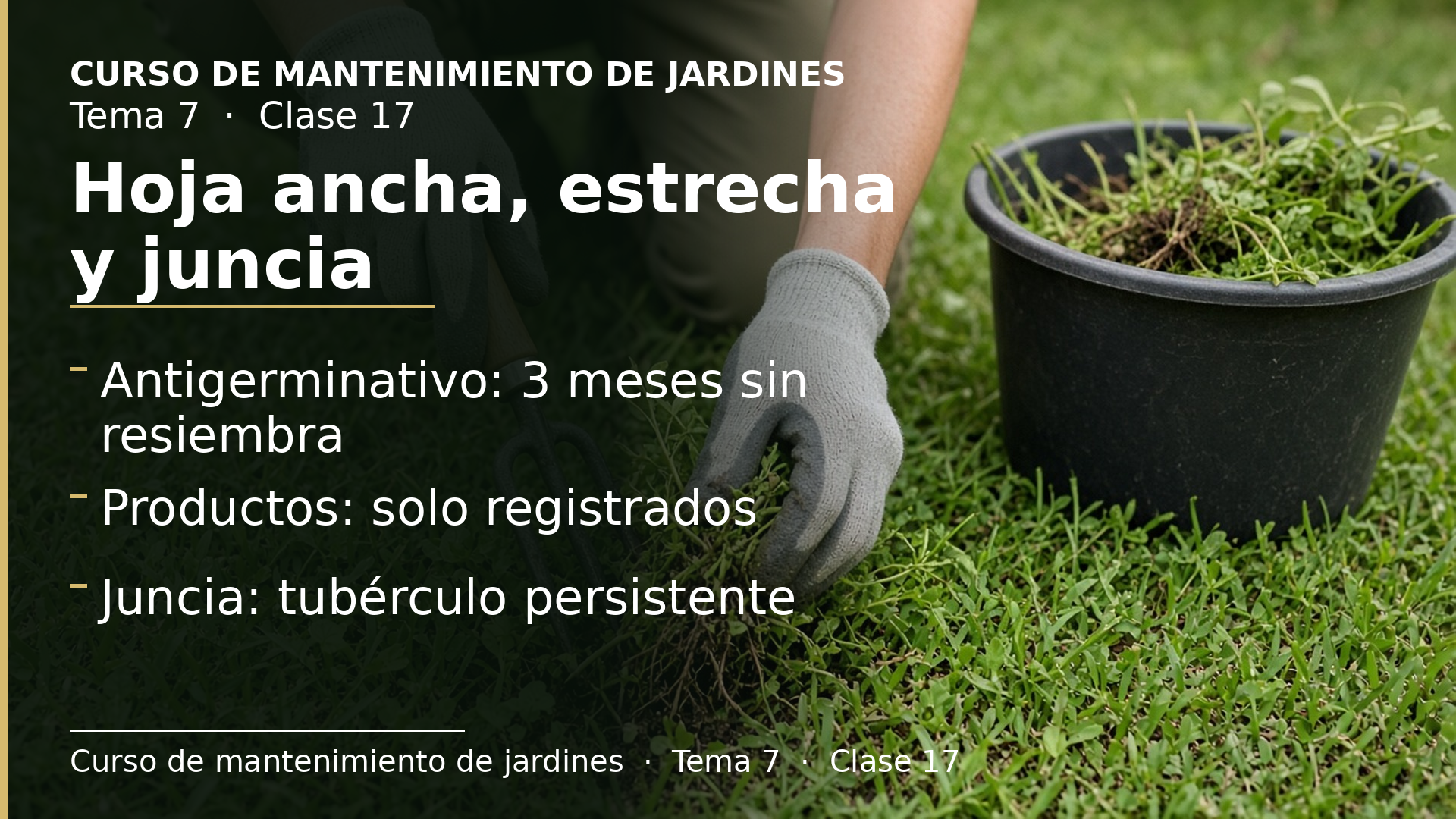 Diapositiva de la clase 17: Control de malas hierbas de hoja ancha, de hoja estrecha y de la juncia