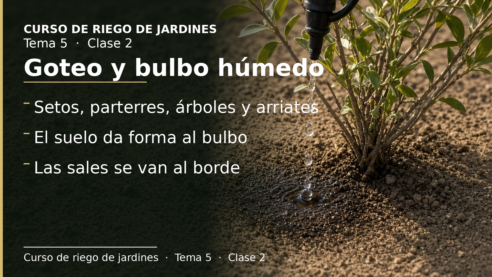 Diapositiva de la clase 2: El riego por goteo y el bulbo húmedo
