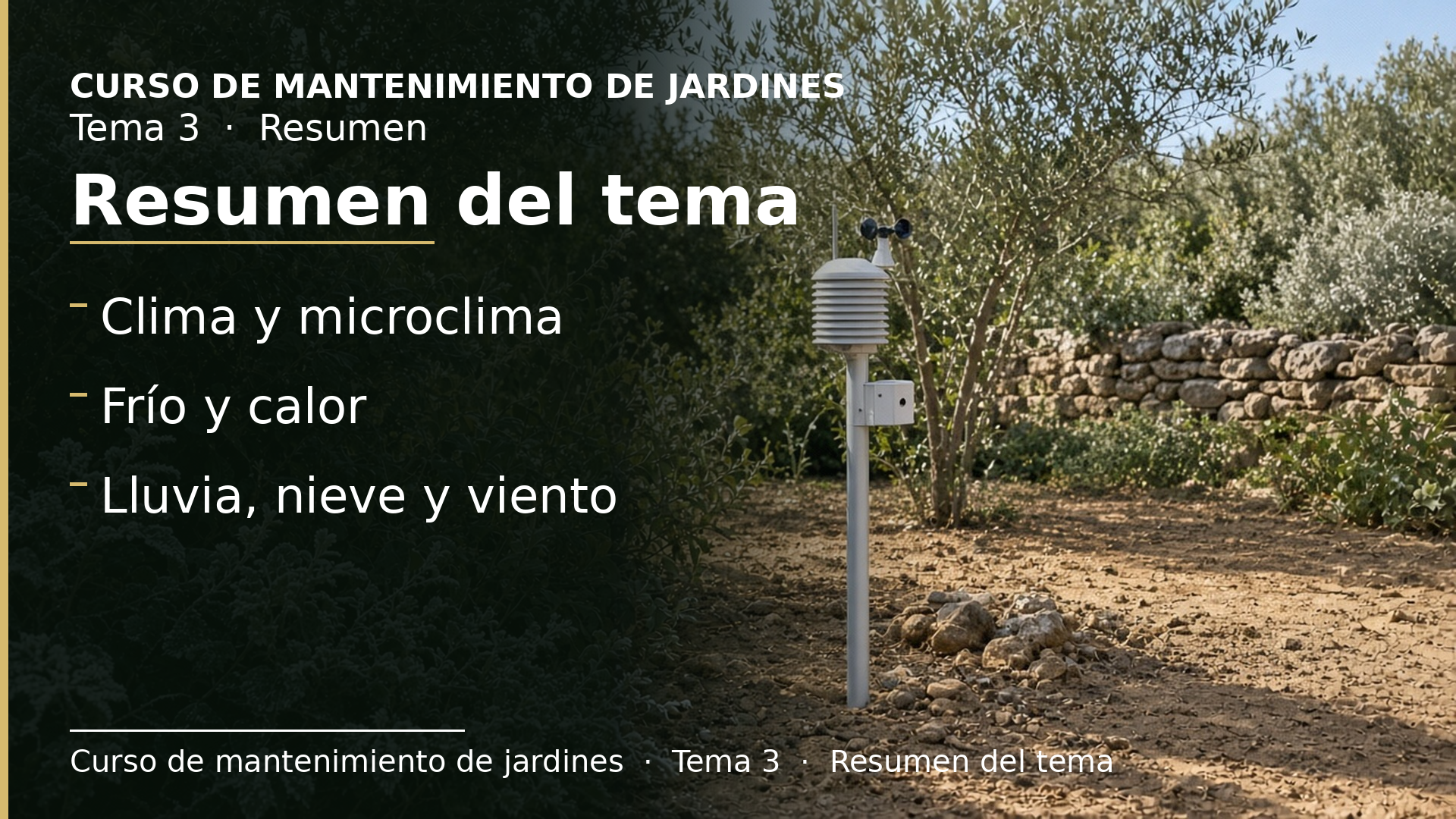 Diapositiva del resumen: Resumen del tema