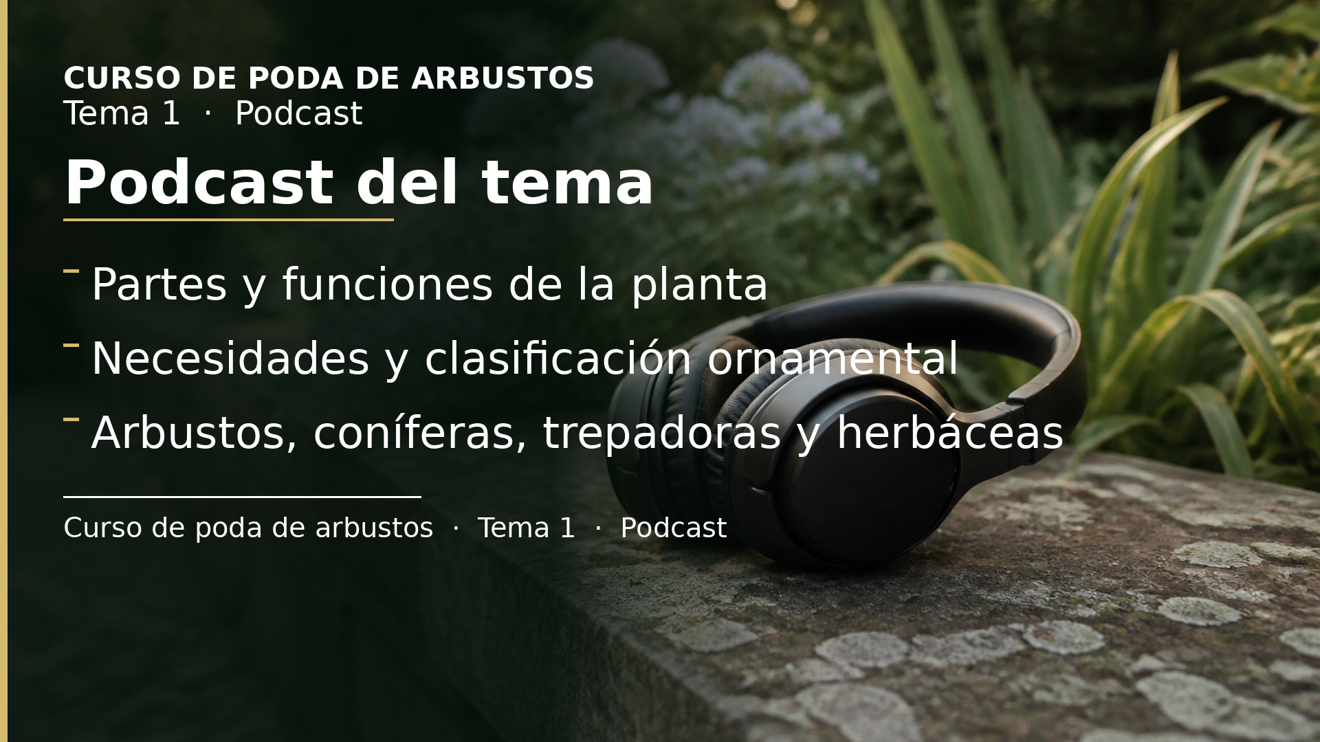 Diapositiva del resumen: Podcast del tema 1 · Conociendo a las plantas