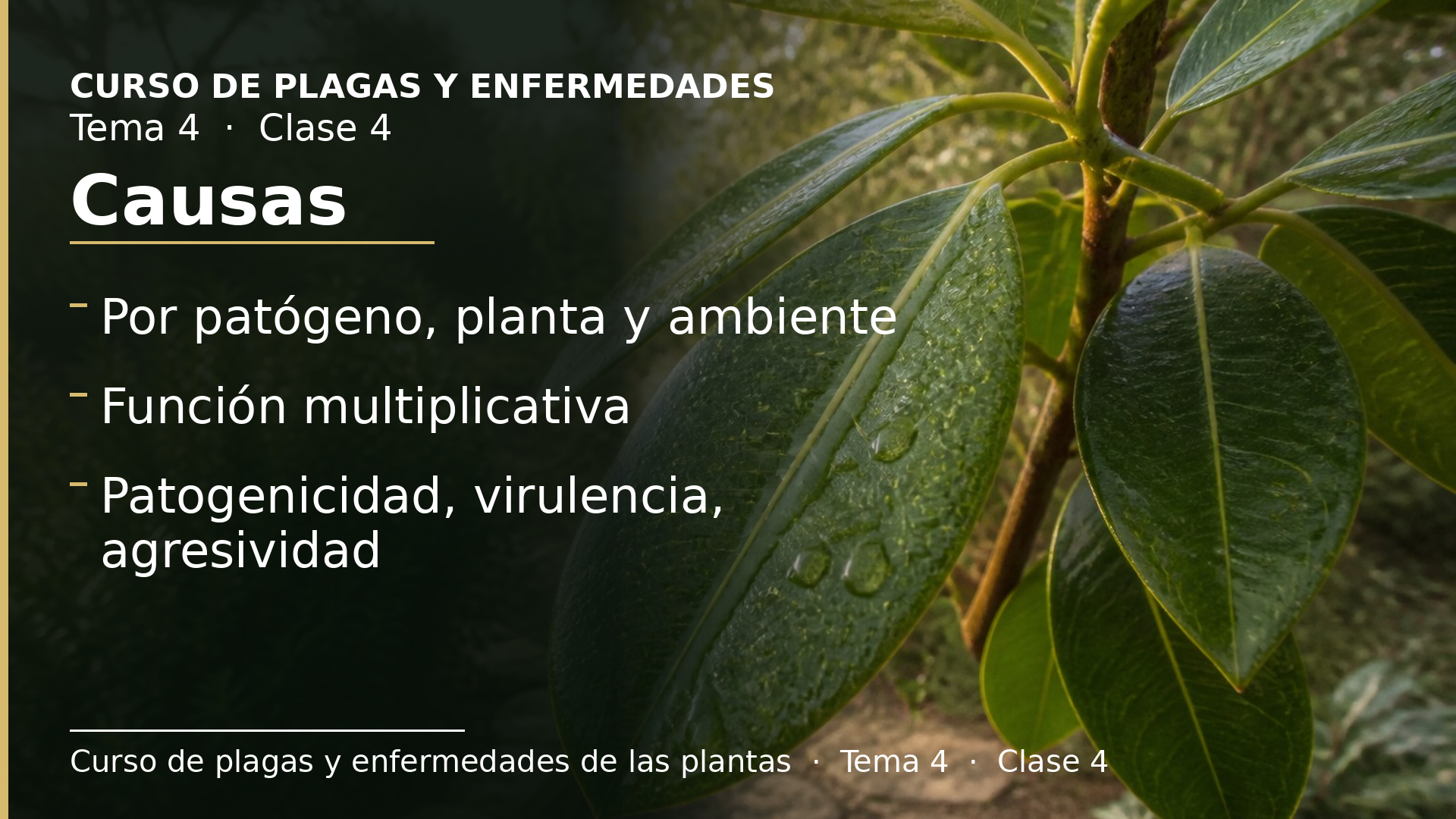 Diapositiva de la clase 4: Causas de la enfermedad