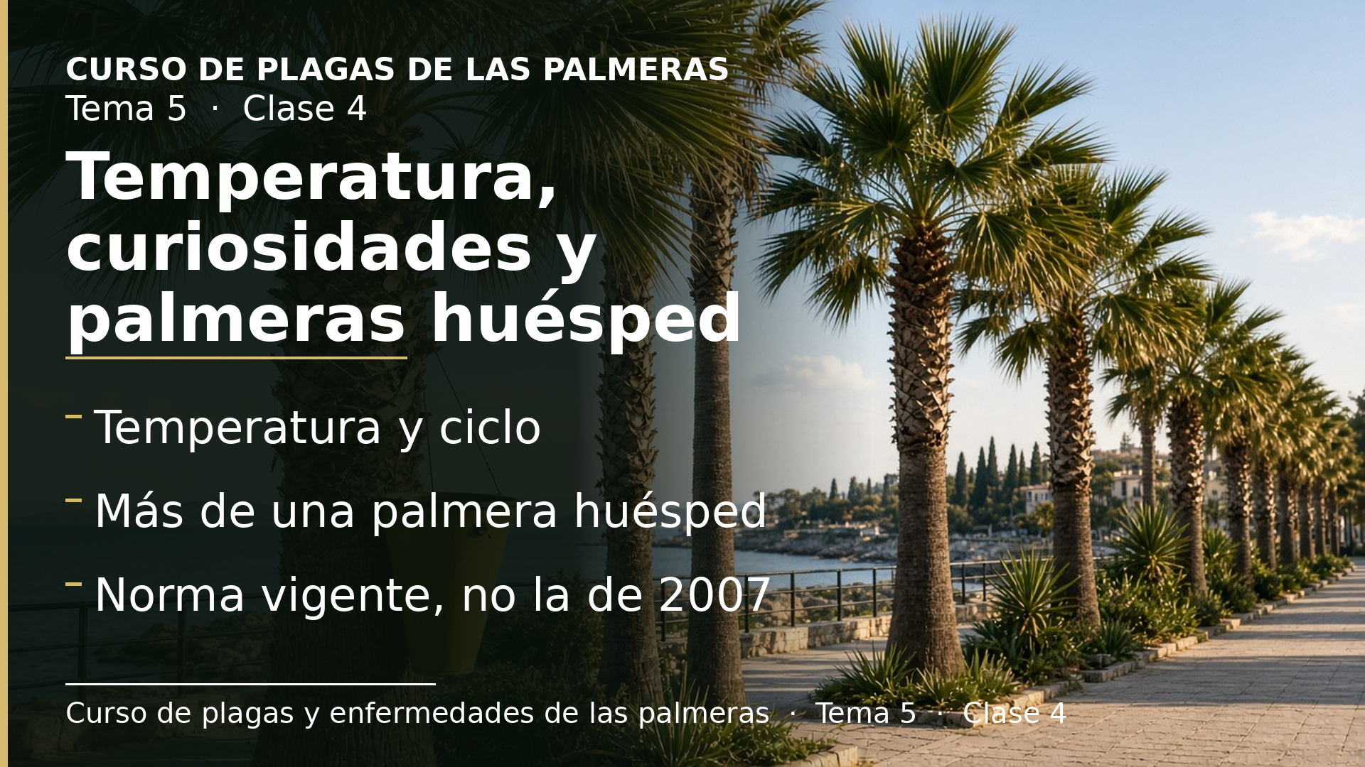 Diapositiva de la clase 4: Temperatura, curiosidades y palmeras huésped