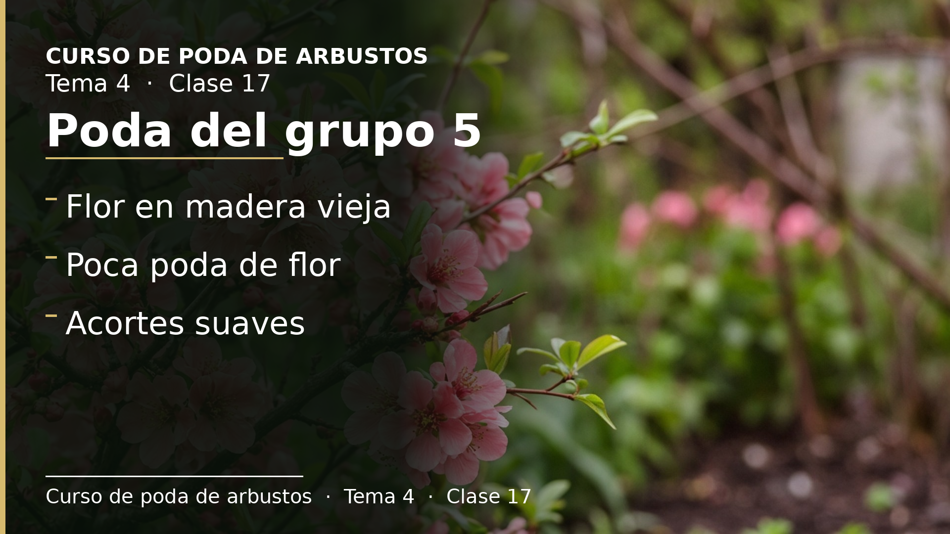 Diapositiva de la clase 17: Poda grupo 5