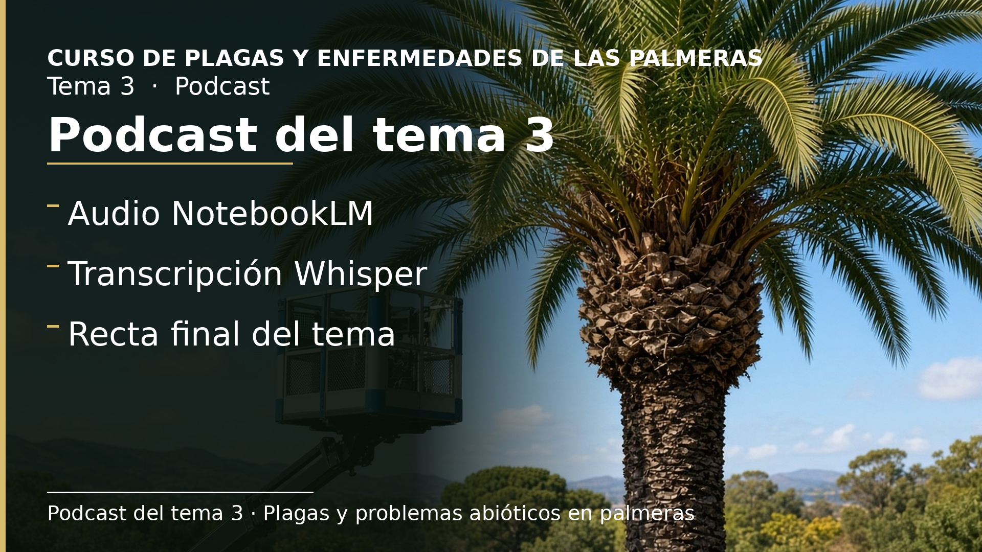 Diapositiva del resumen: Podcast del tema 3 · Principales plagas de las palmeras