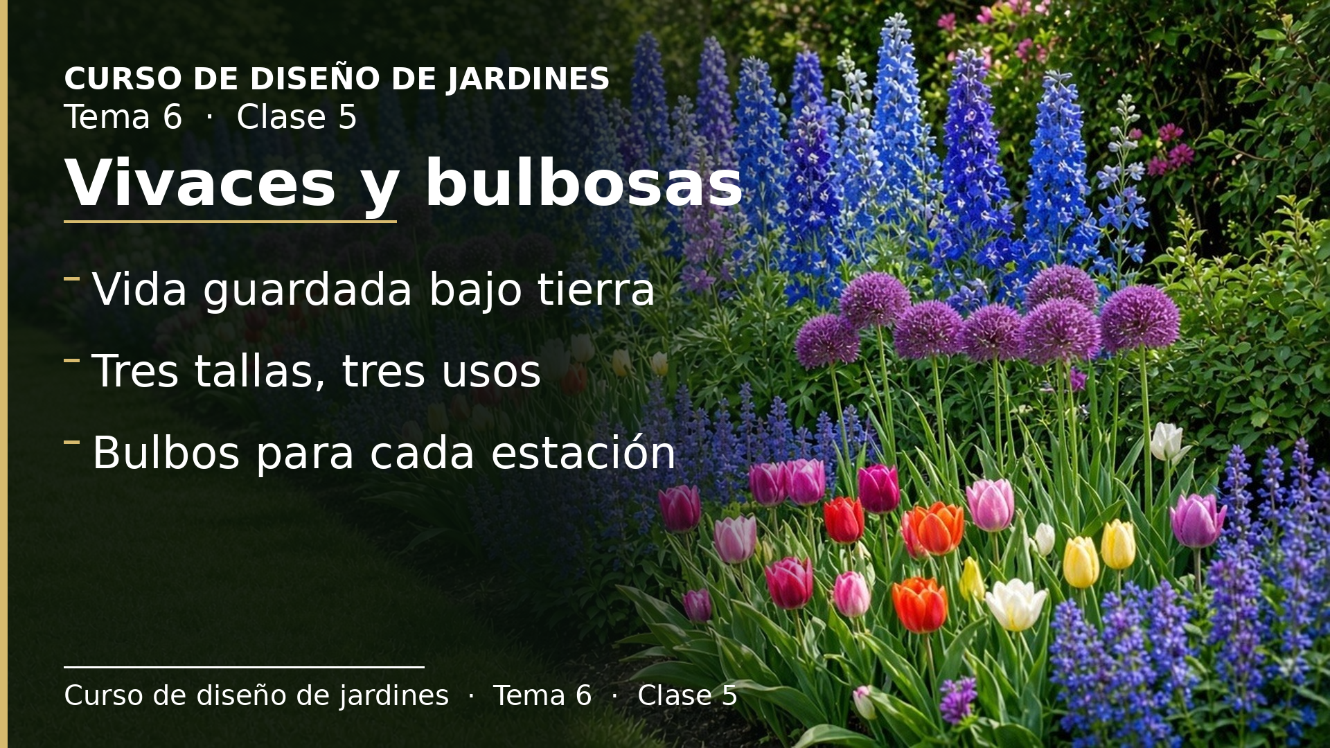 Diapositiva de la clase 5: Vivaces y bulbosas: plantas de flor para macizos