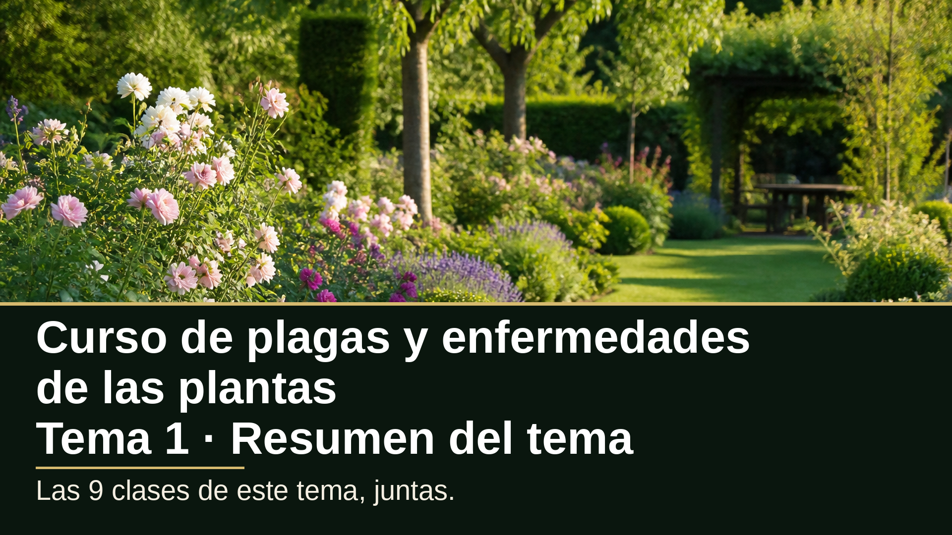 Diapositiva del resumen: Resumen del tema