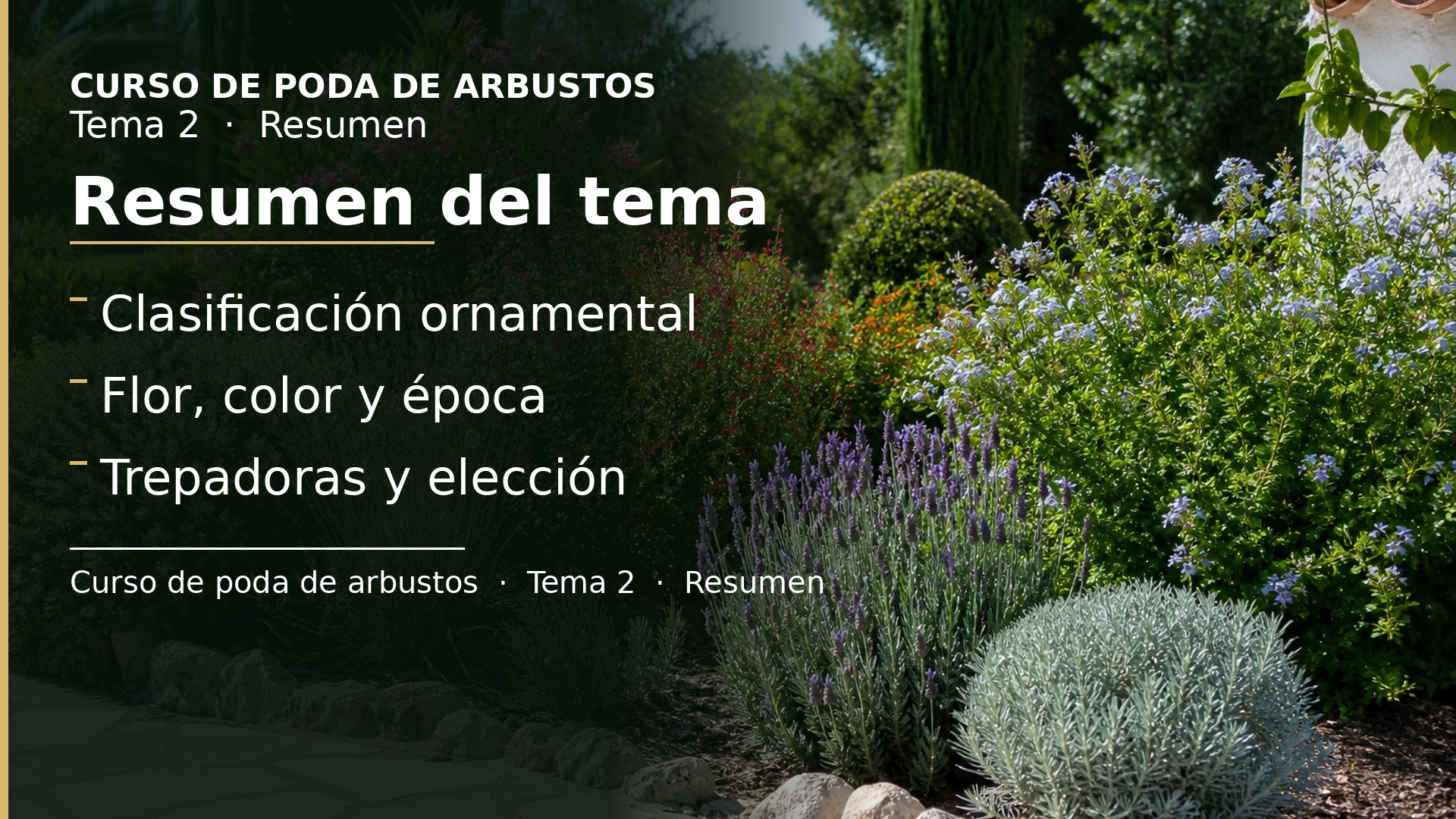 Diapositiva del resumen: Resumen del tema