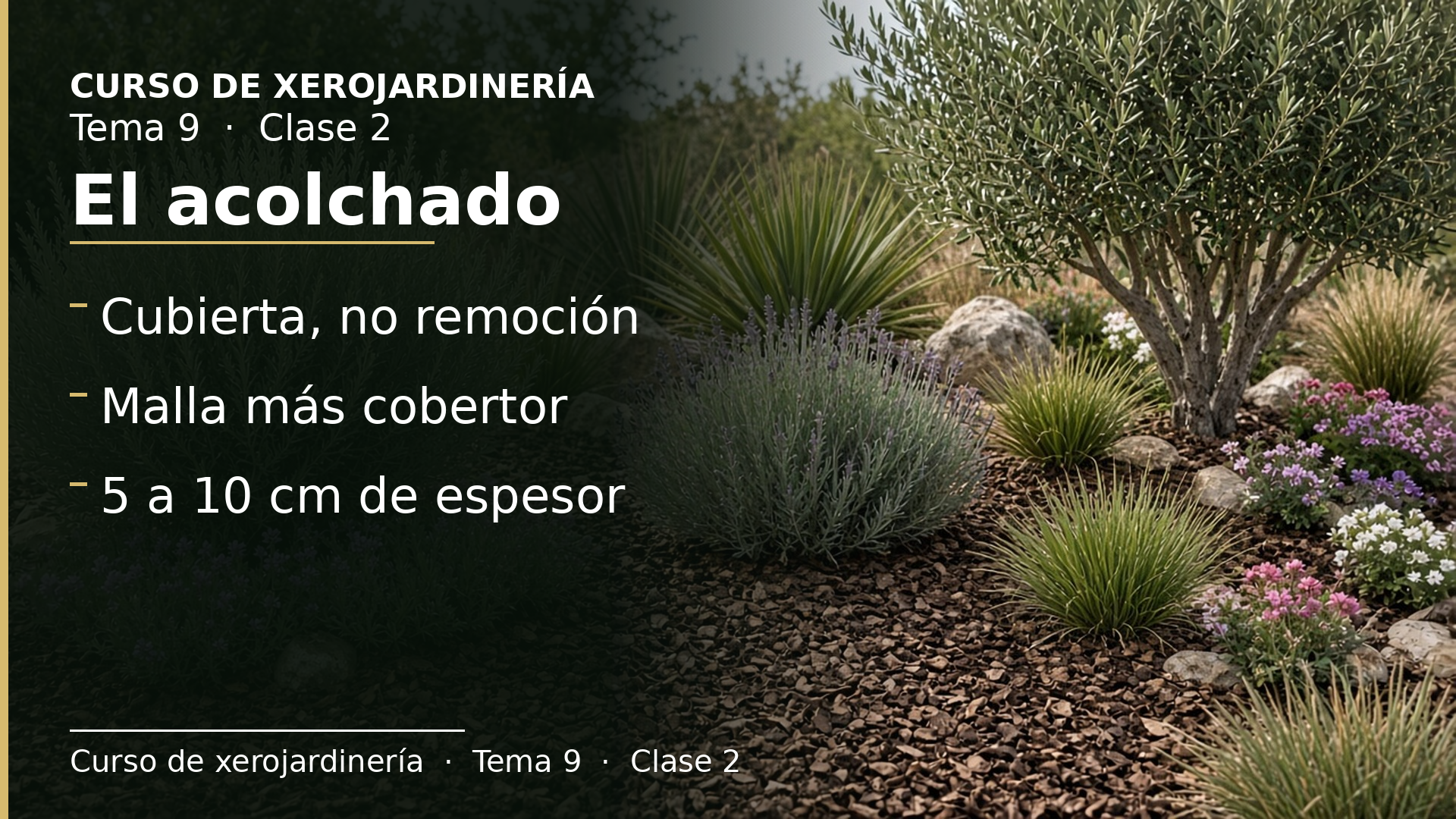 Diapositiva de la clase 2: El acolchado