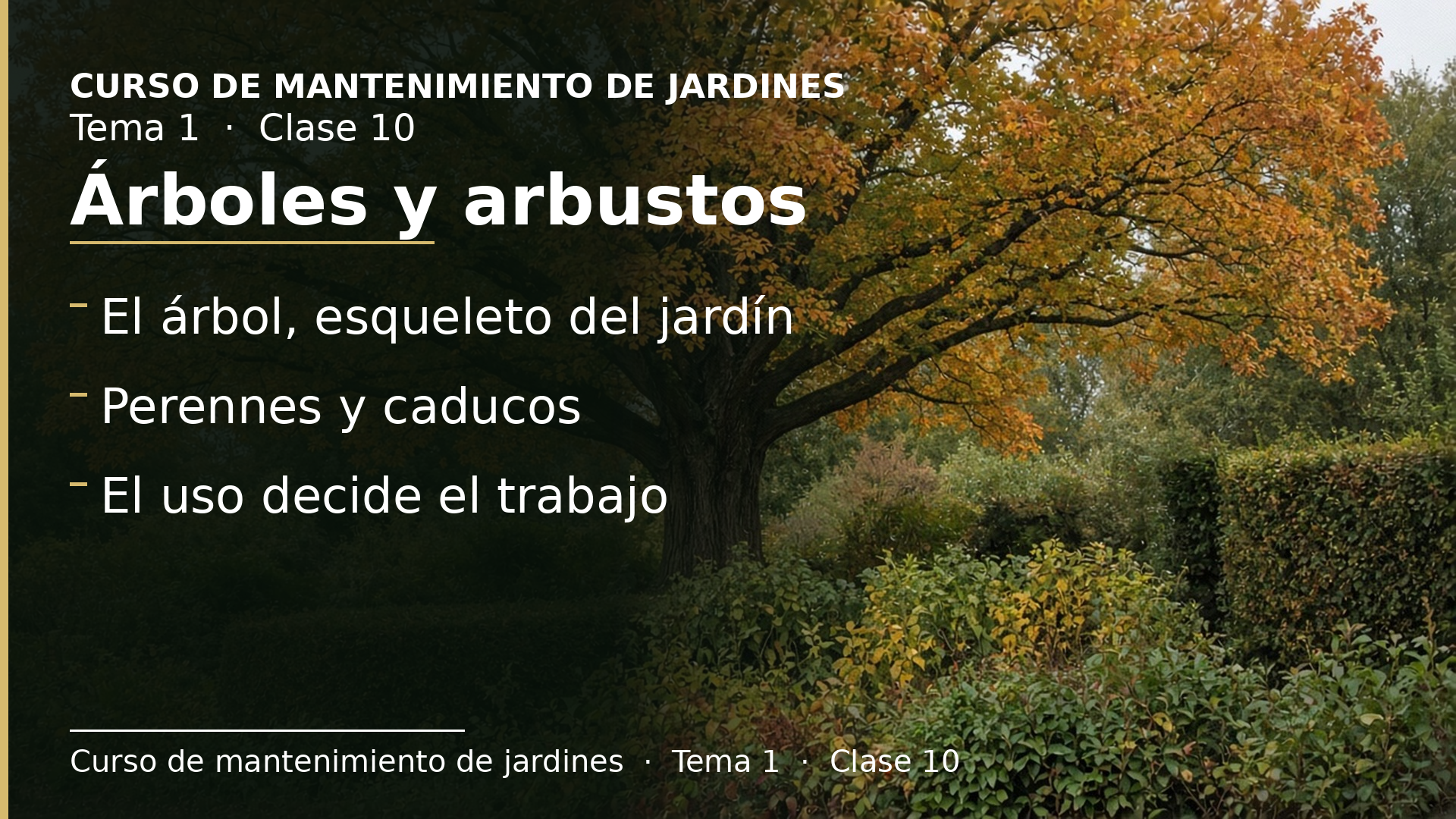 Diapositiva de la clase 10: Árboles y arbustos